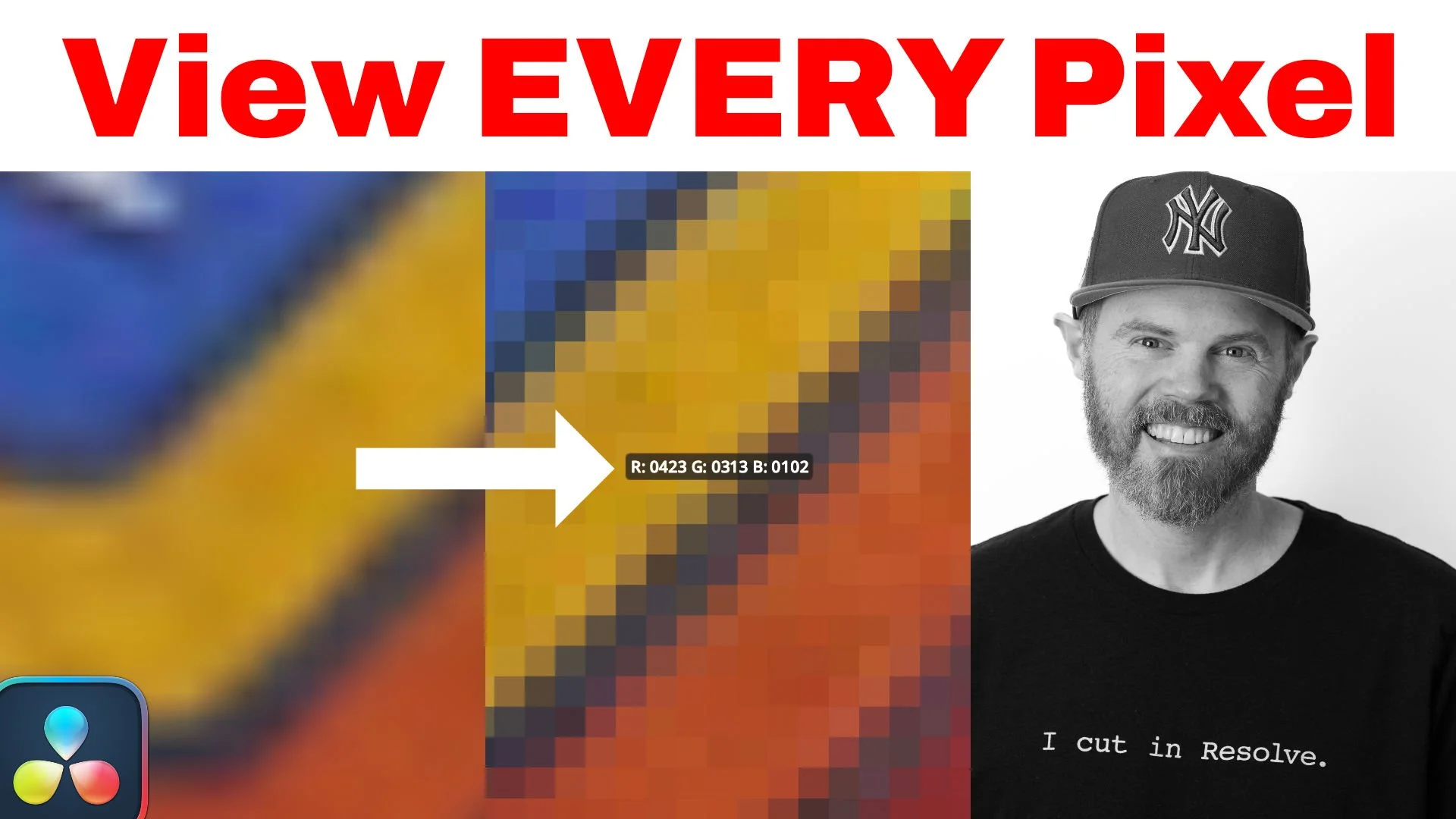 View Individual Pixels in DaVinci Resolve Viewers