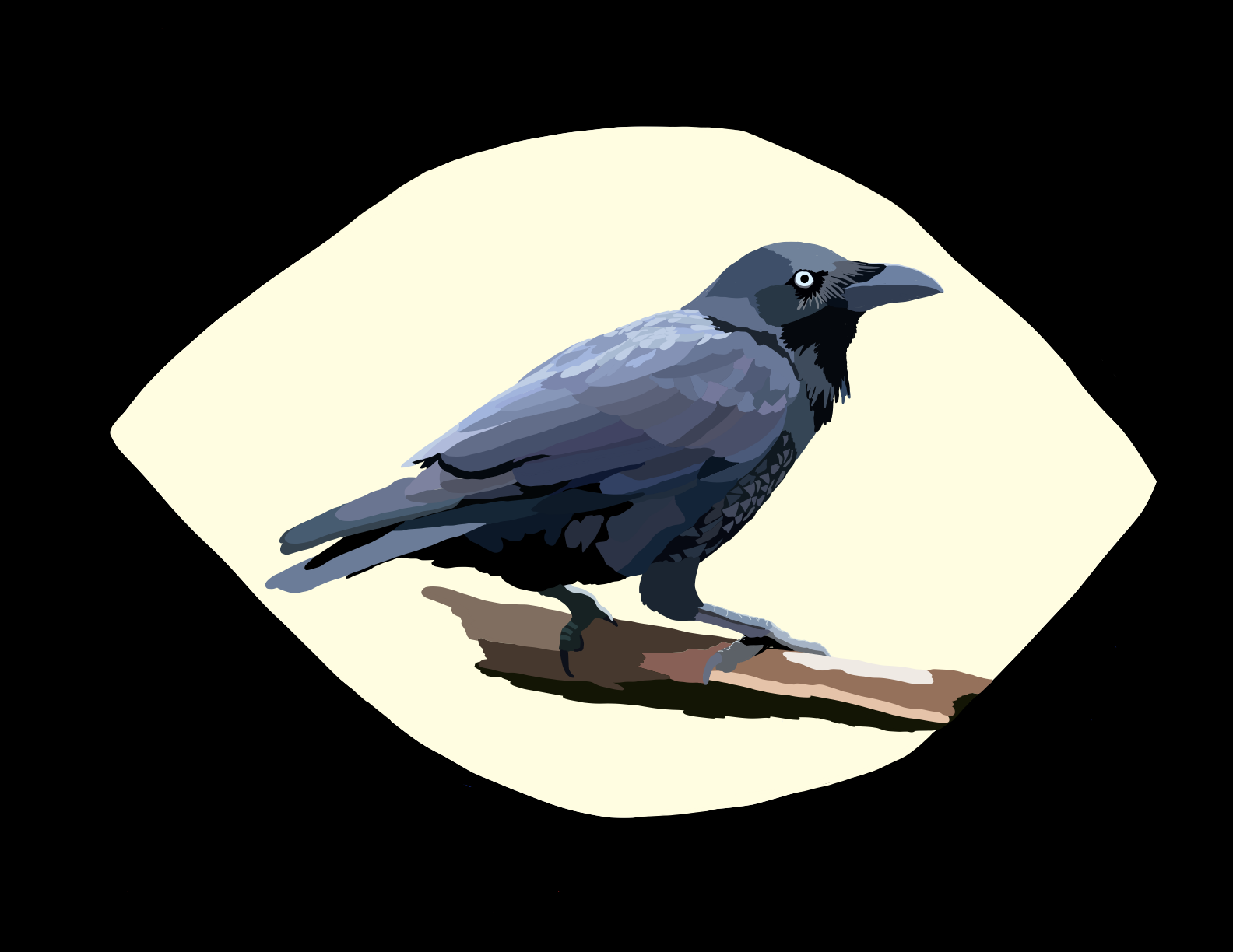 raven.PNG