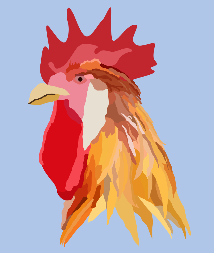 rooster final.png