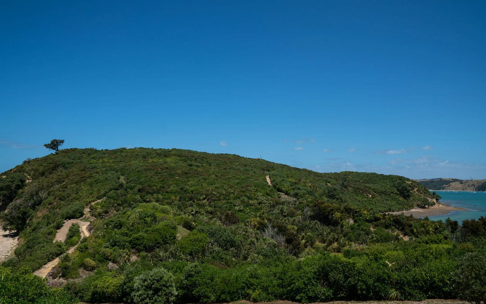 AFTER - Rotoroa Island: A once-in-a-generation regeneration