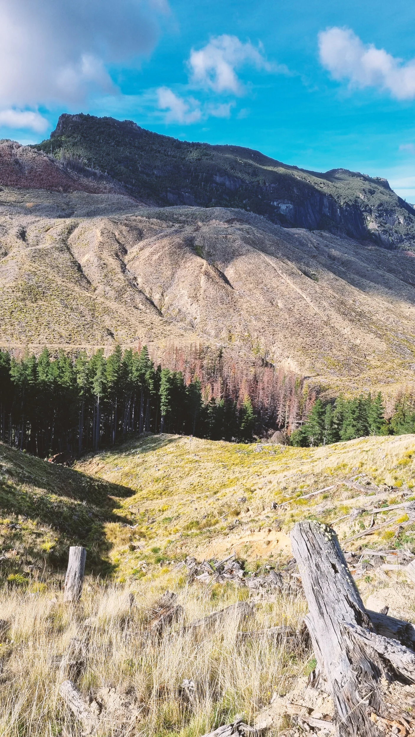 20210510_102939.jpg