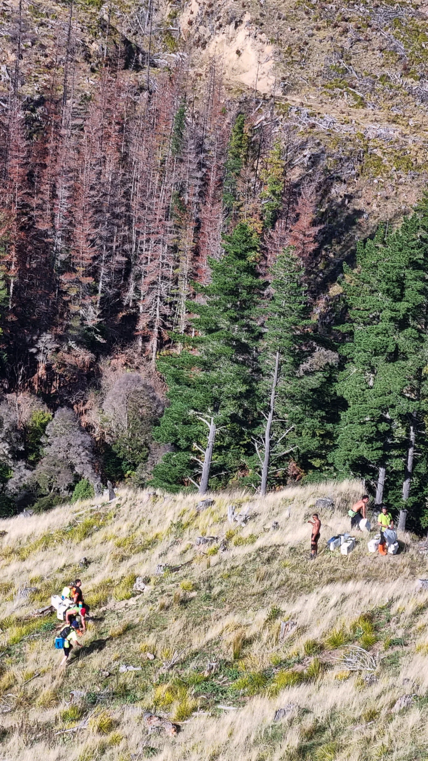 20210510_112102.jpg