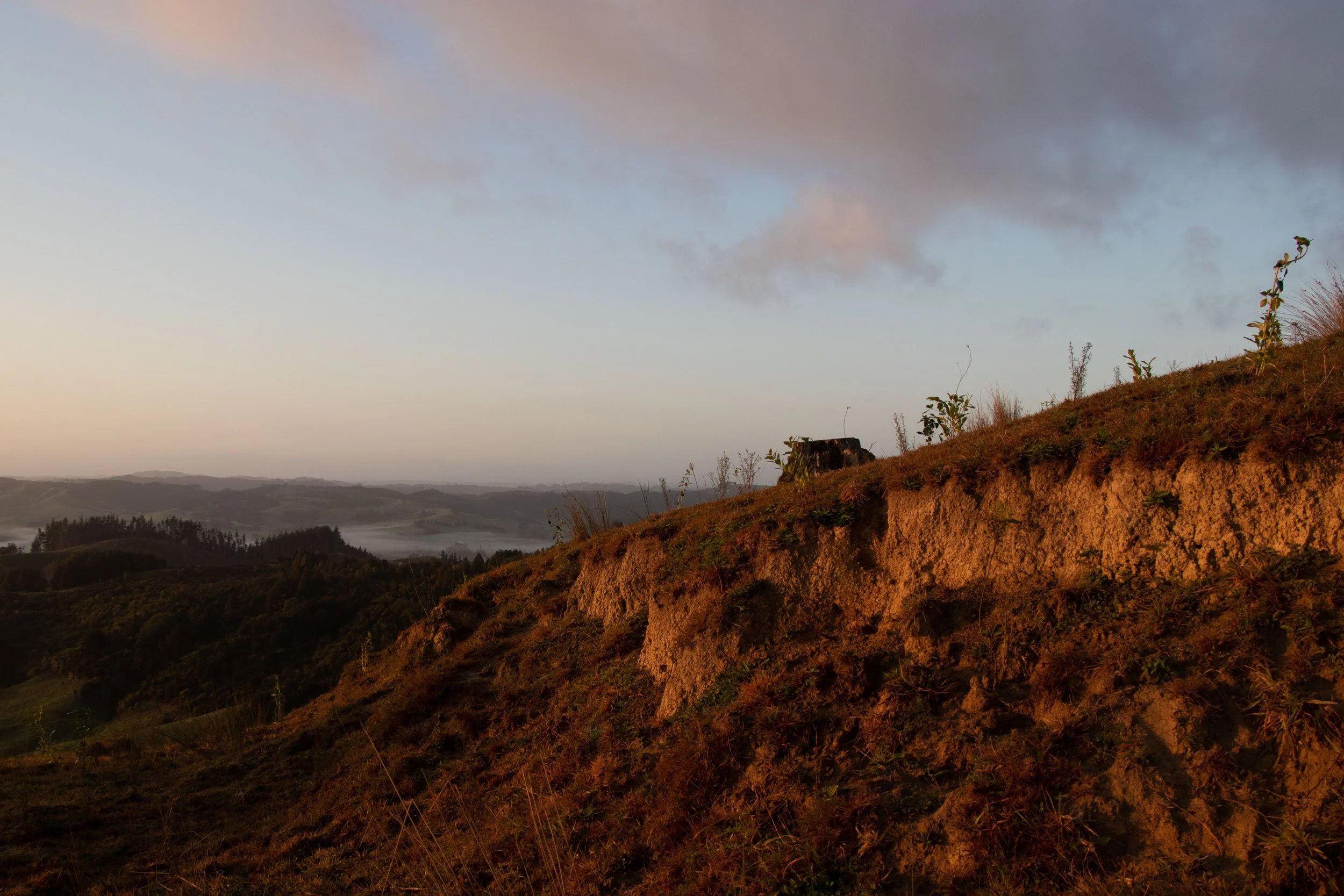 Tamata-Hills-sep21_-(37).jpg