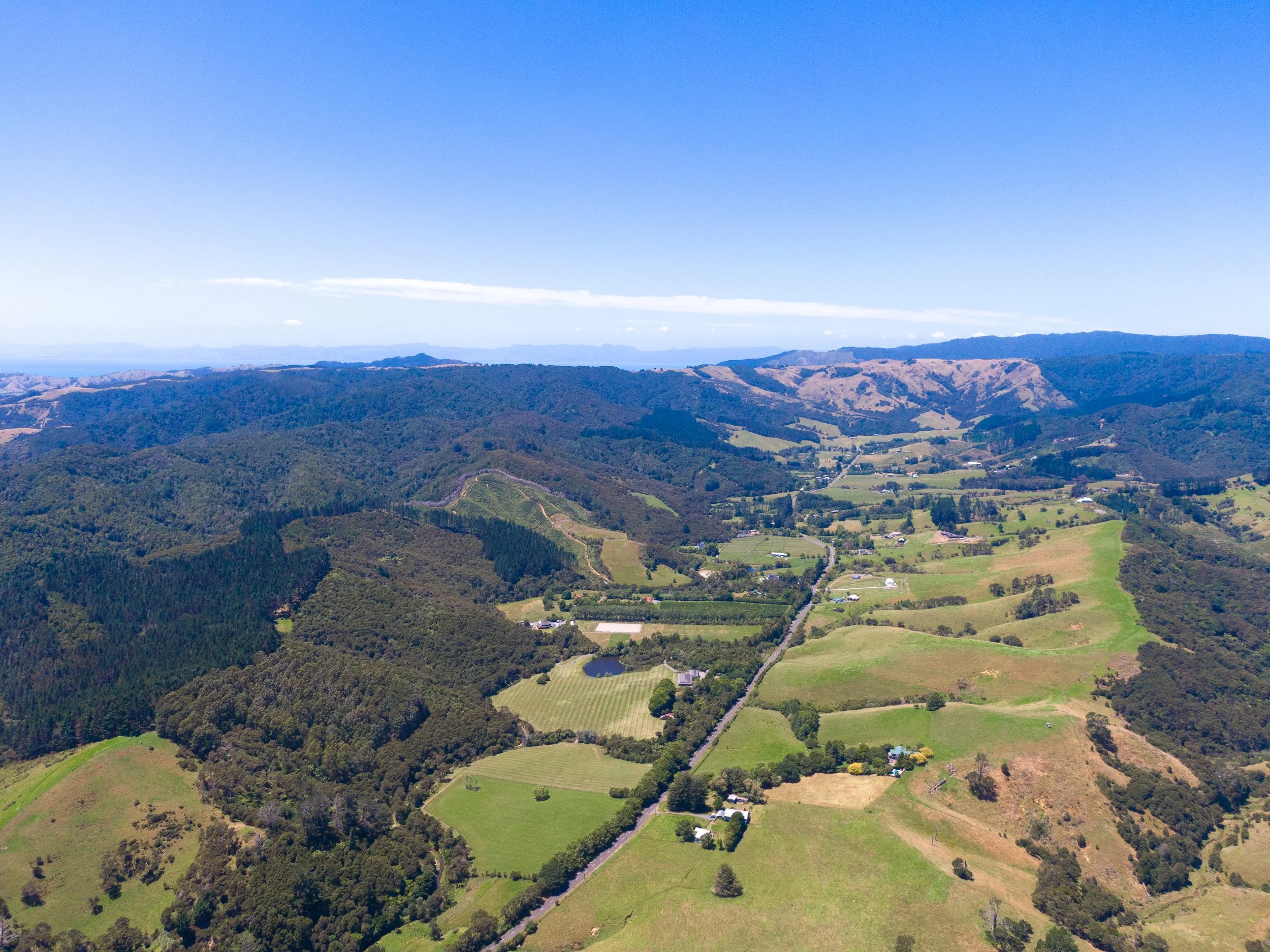 Ness Valley_January 2024 (90)-2.jpg