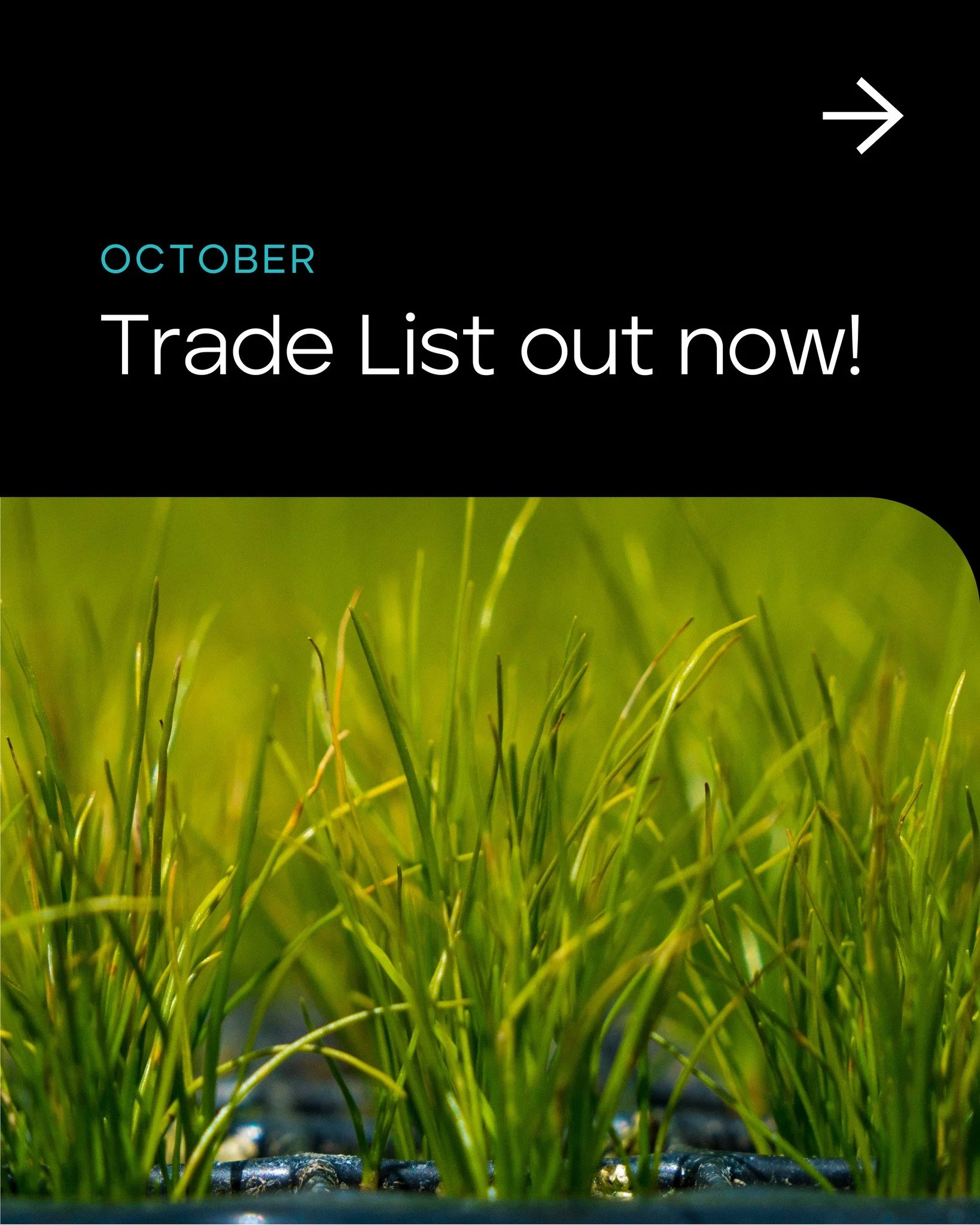 Need plants now? Check out our October Trade List.

Kauri Park Nurseries supplies a wide range of quality plants grown for New Zealand conditions, with delivery available nationwide.

With the stock, scale, service and speed, we&rsquo;re here to supp