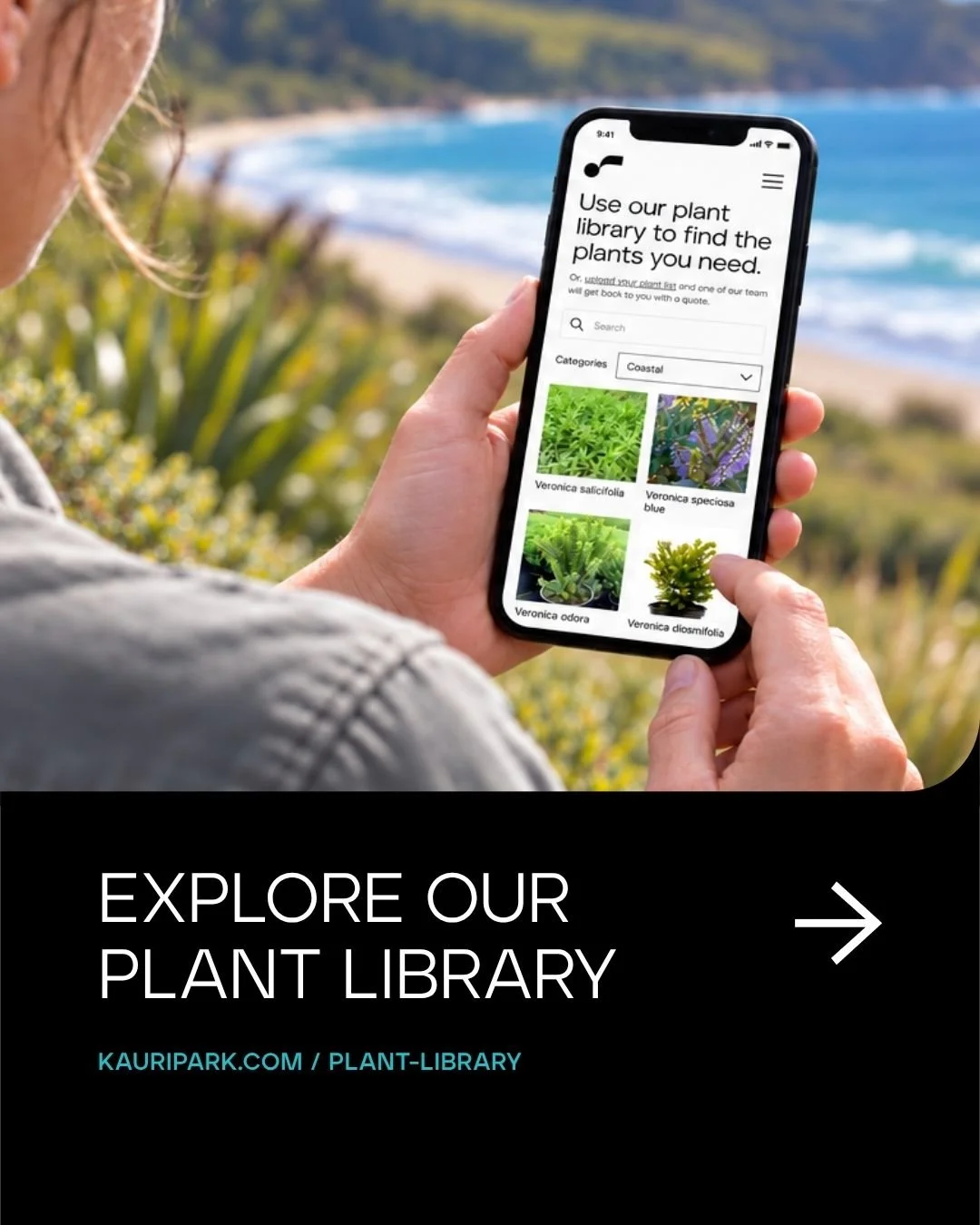 Our plant library helps you find the plants you need for your next project.

Self-sustainable ecosystems rely on plants that will thrive in their environment. We&rsquo;ve categorised our plant library with this in mind, to make it easy to select the 