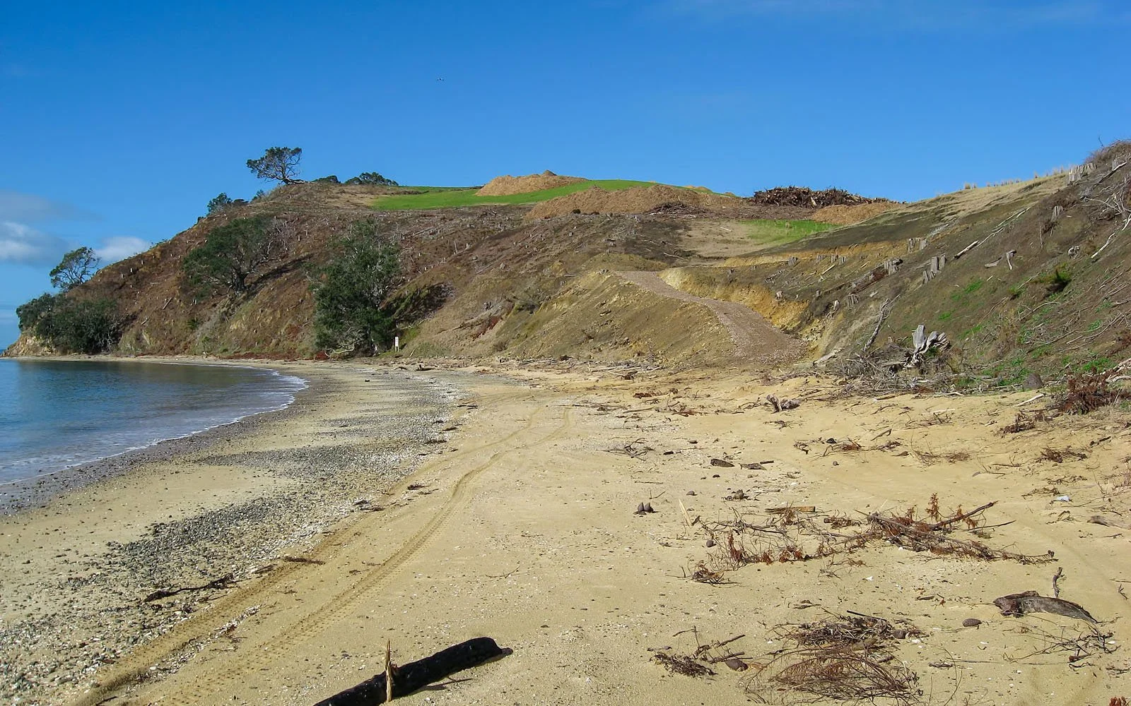 BEFORE - Rotoroa Island: A once-in-a-generation regeneration