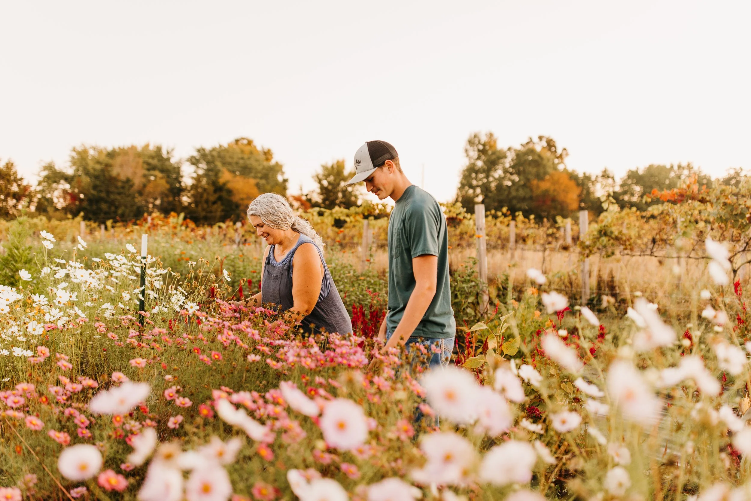 Heap Acres is a local specialty cut flower farm and vineyard in Warren Co. Missouri, that is finding a way to brighten your day!  We specialize in fresh flowers, dried flowers, grapes, and u-picks.