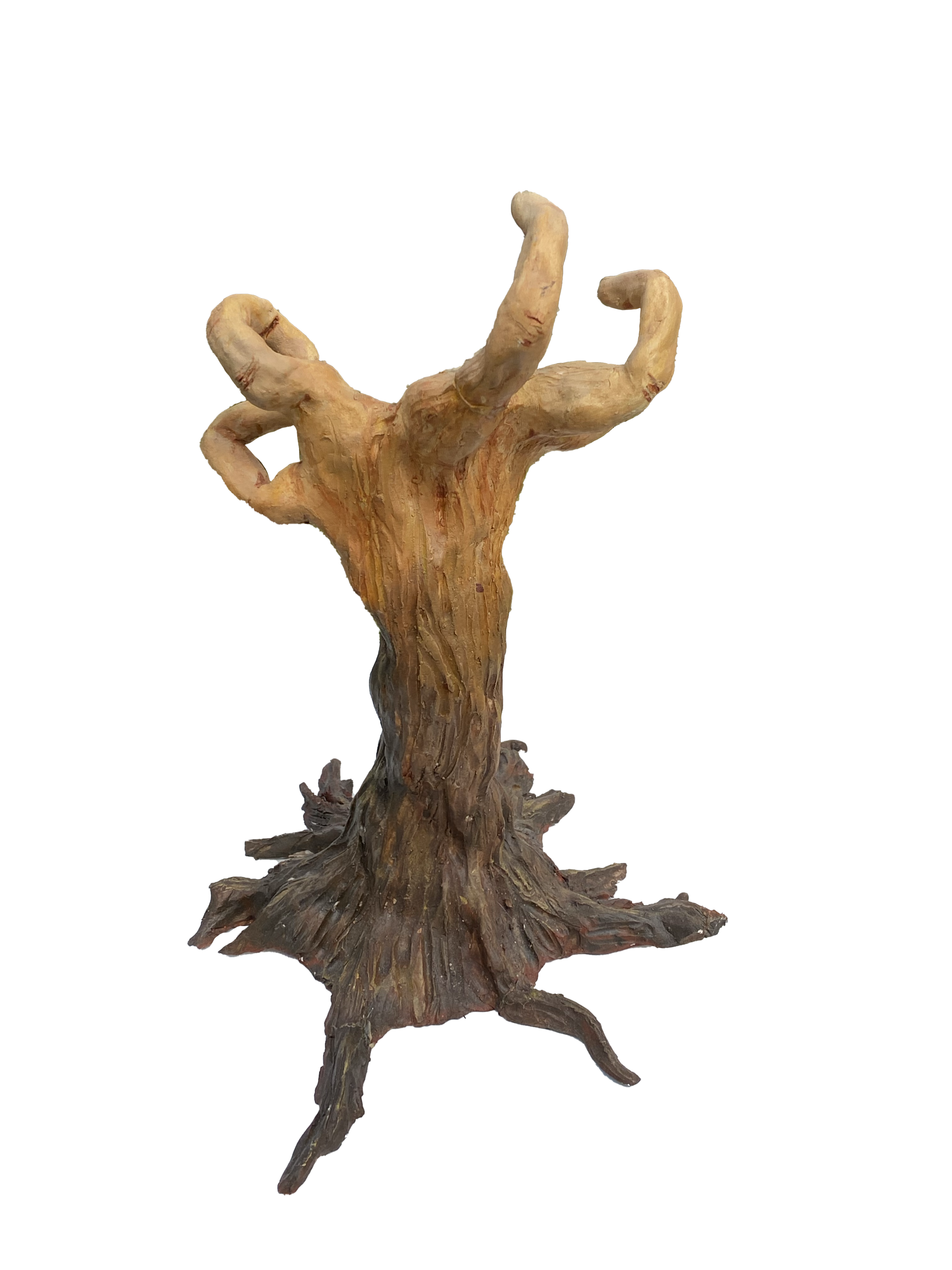 Roots, 2016