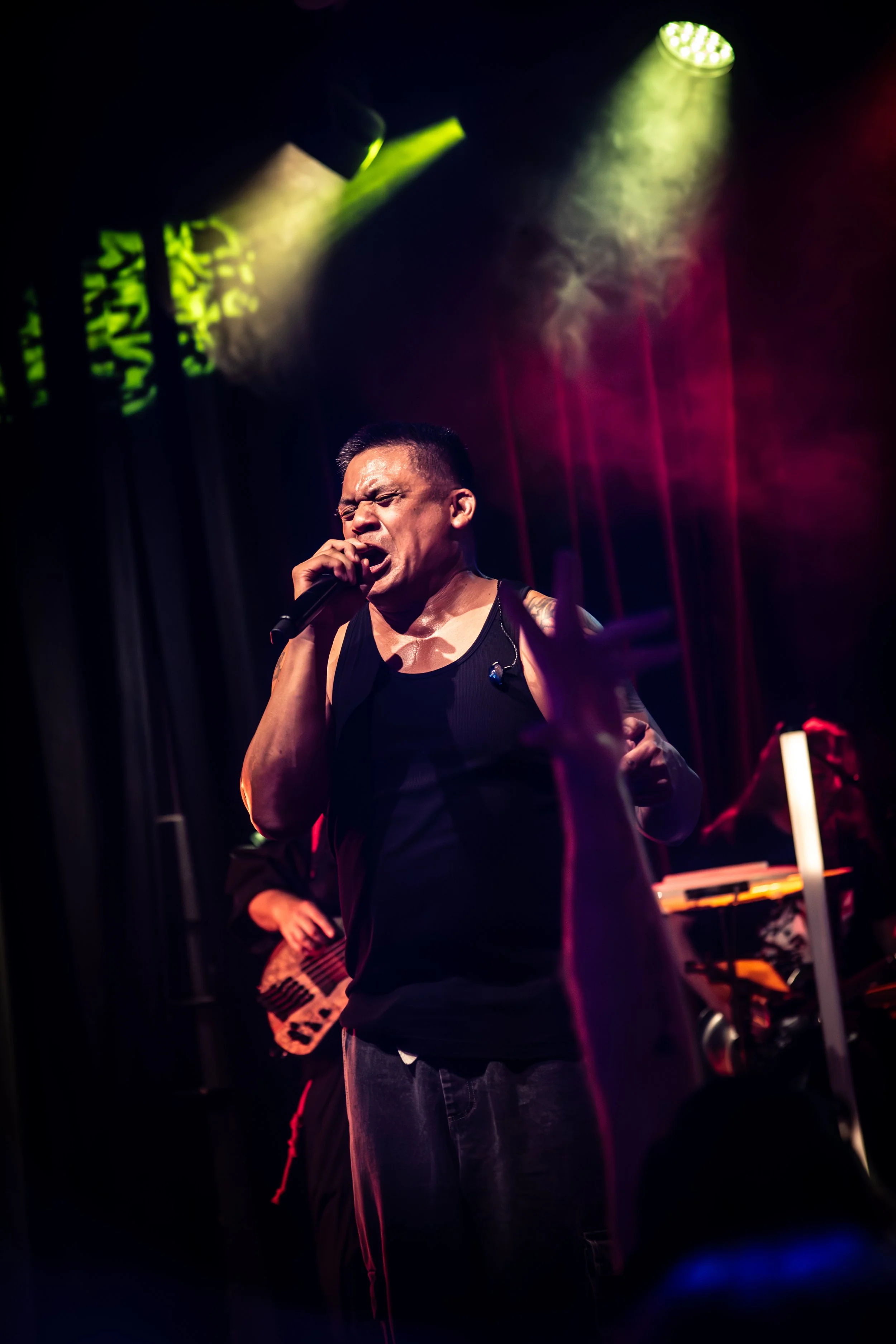 Male singer passionately performing on stage with colorful lights and smoke effects.