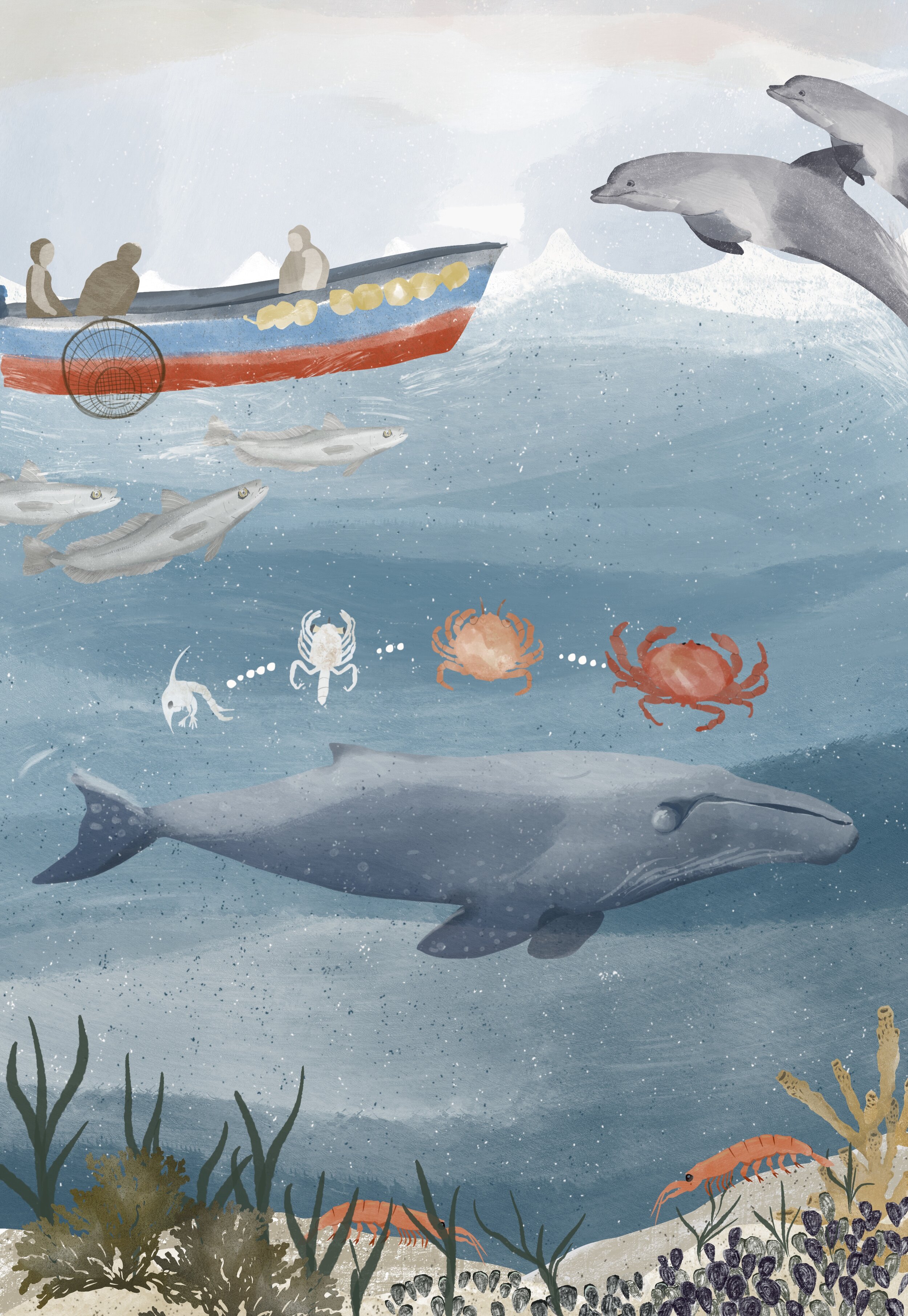 Pesca_Artesanal 2.jpg