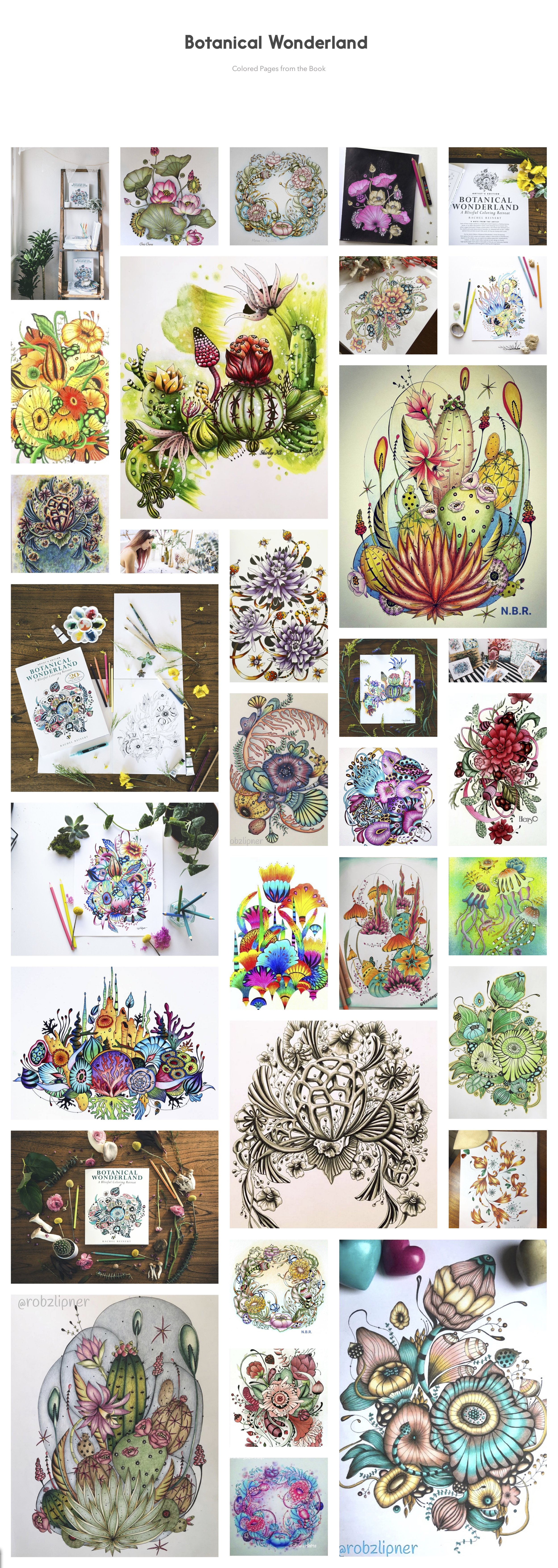 Download Coloring Books Rachel Reinert Studio