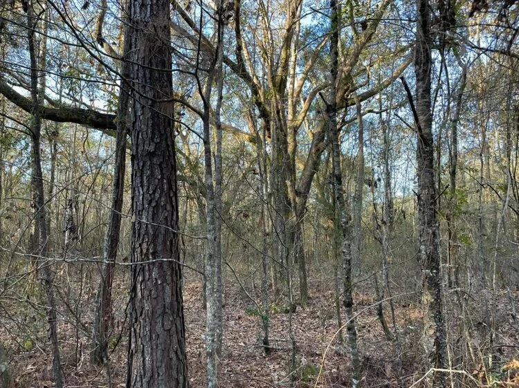 Mobile Co., AL Andry 19 — Johnson Land Company