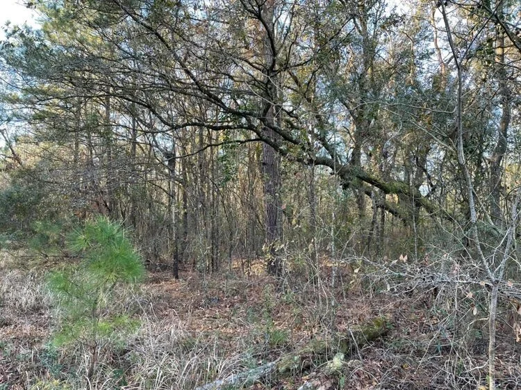 Mobile Co., AL Andry 19 — Johnson Land Company