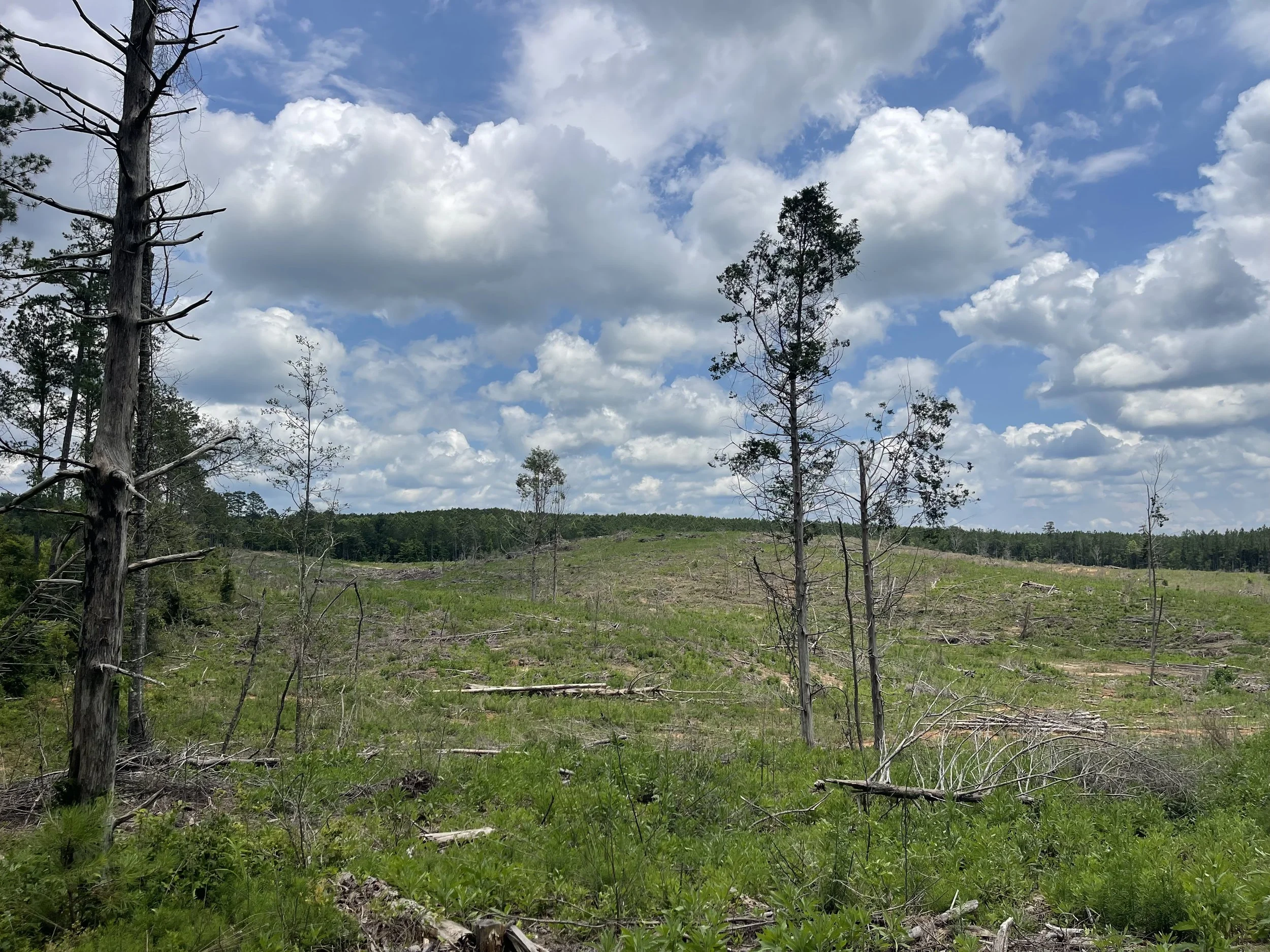 Kemper County, MS - Kemper Springs 40