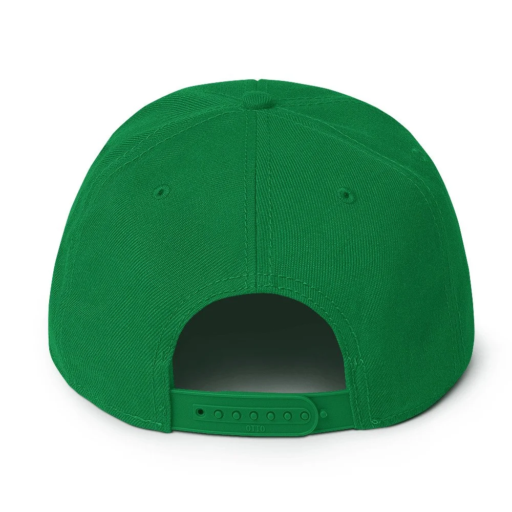 snapback-kelly-green-back-689ca9d330060.jpg