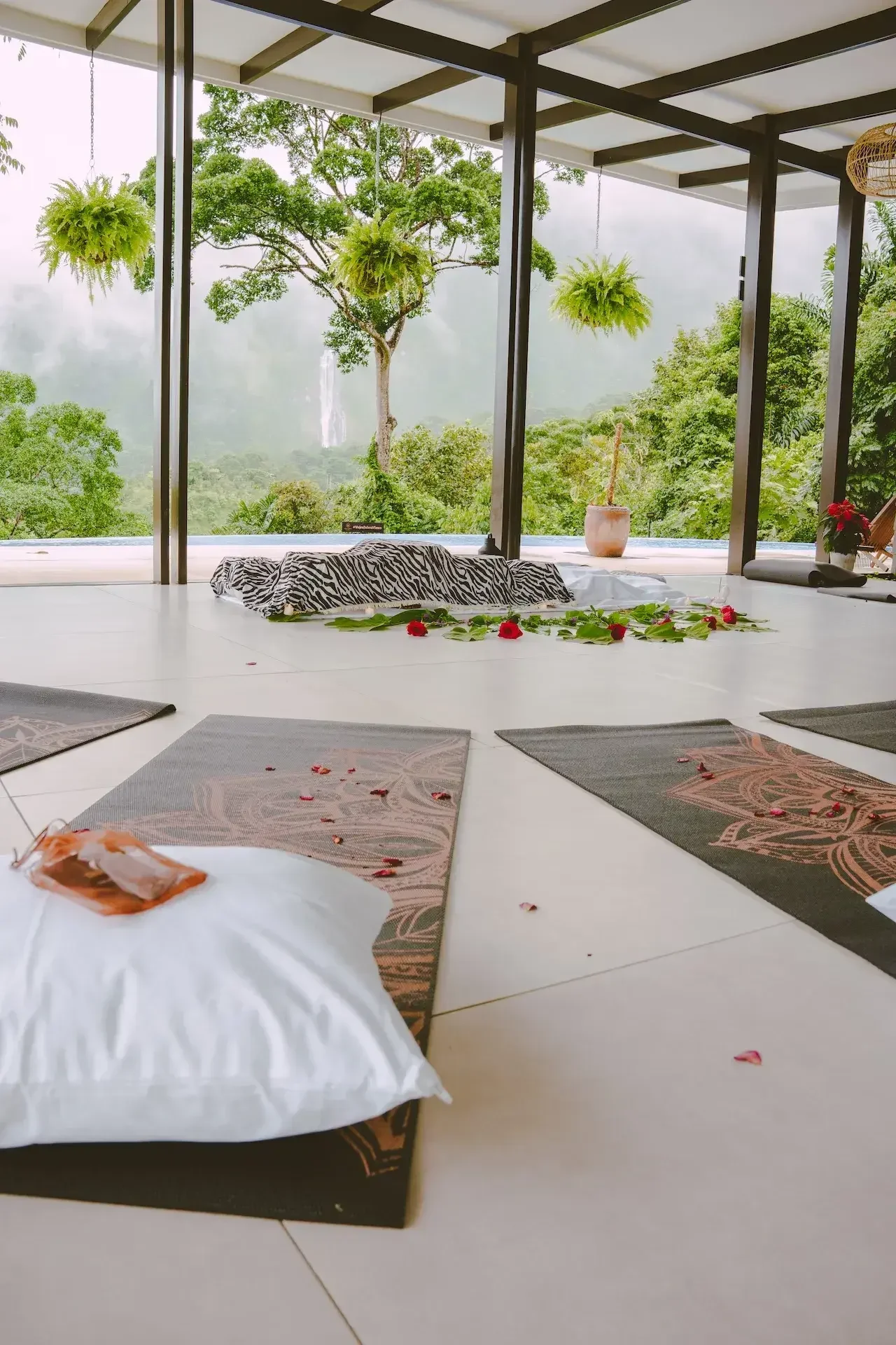 Indoor space with yoga mats on the floor, flower petals scattered, large windows with view of green trees and hills outside, hanging plants, and some decor items.