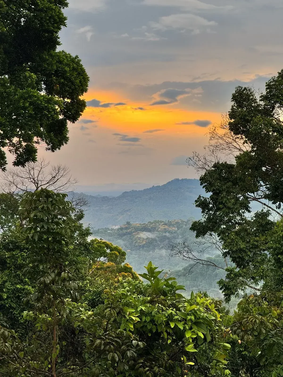 scenic.webp