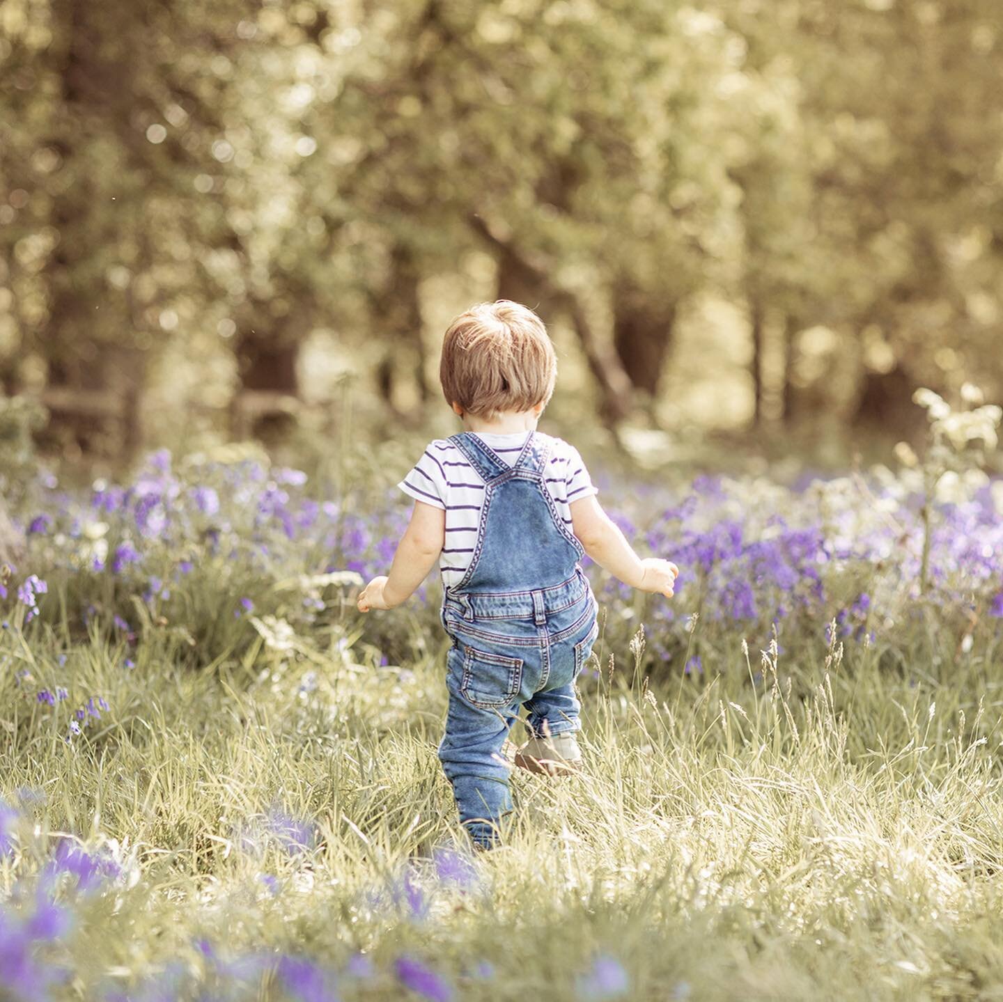 Over on the blog&hellip; My top five tips for happy kids at photoshoots, link in bio.

And it finally feels like Spring is in the air! I cannot wait to be back here @ashridgehouse for my outdoor sessions to start again, the bluebells have become my s
