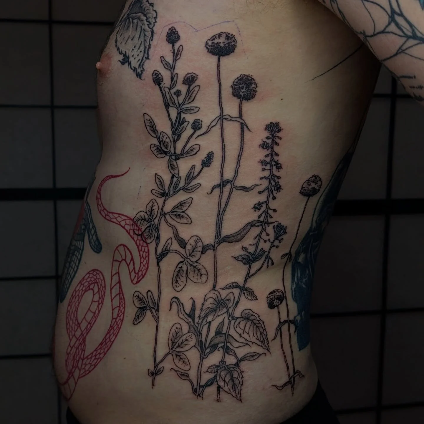 A big wildflower rib tickler for made for Corey, thank you for your strength on this one 🤝🏼 
The flowers I used in this design are Enchanters Nightshade, Black Medick and Field Scabious - I always love doing large floral work, message me if you're 