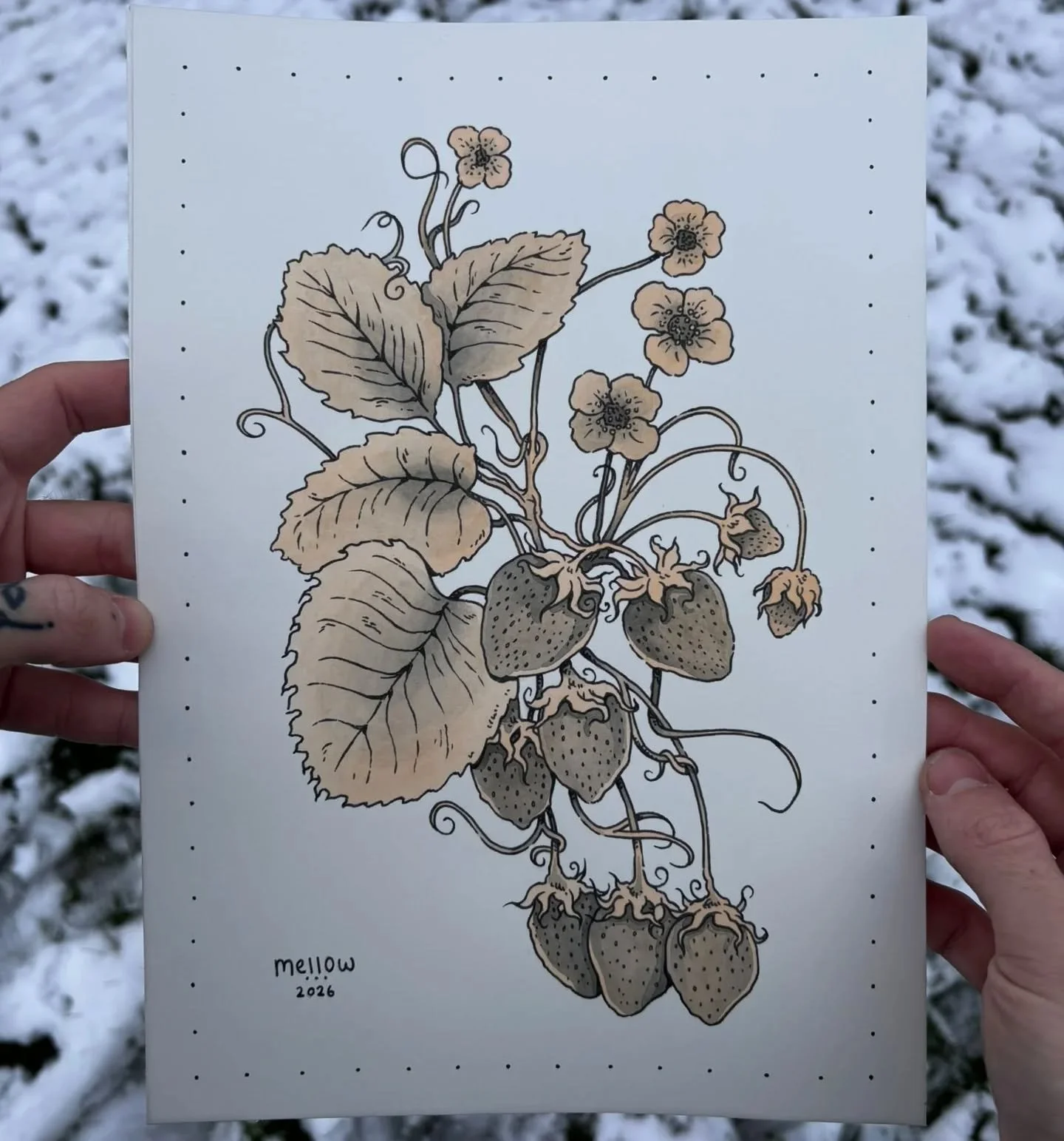 A strawberry plant | watercolour on paper 🍓 
Message me if you'd like to claim it! Only to be tattooed once :) 
.
#illustration #tattooideas #tattooflash #floraldesign #nottinghamtattoo