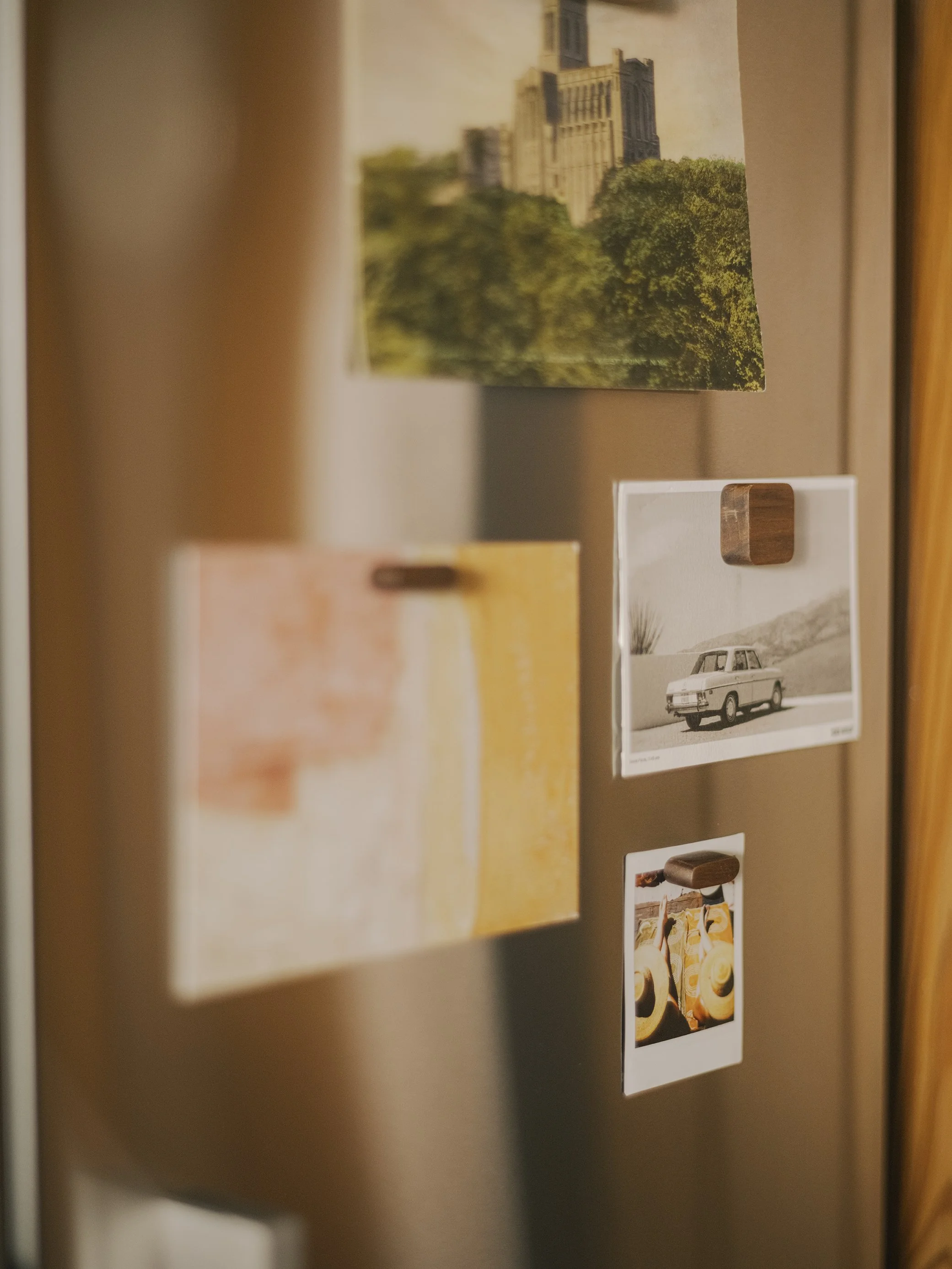 Tidy Magnet Seg_003 copy.jpg