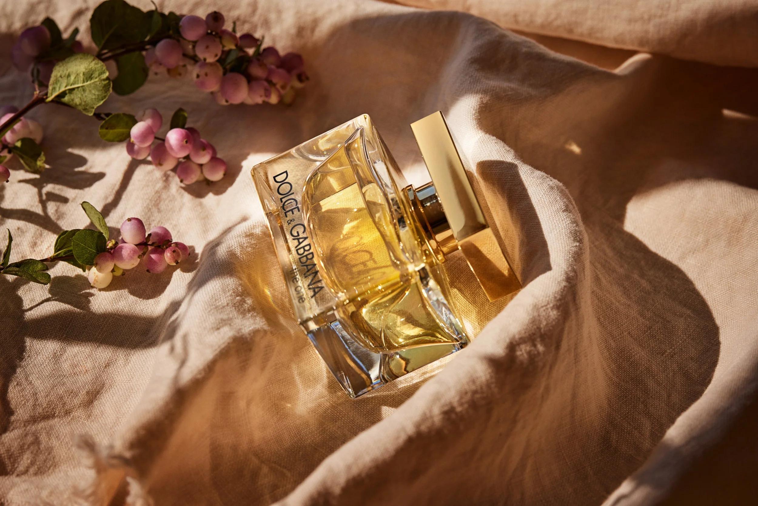 22-11 2442-01B JGS DESERT BEAUTY DG.JPG