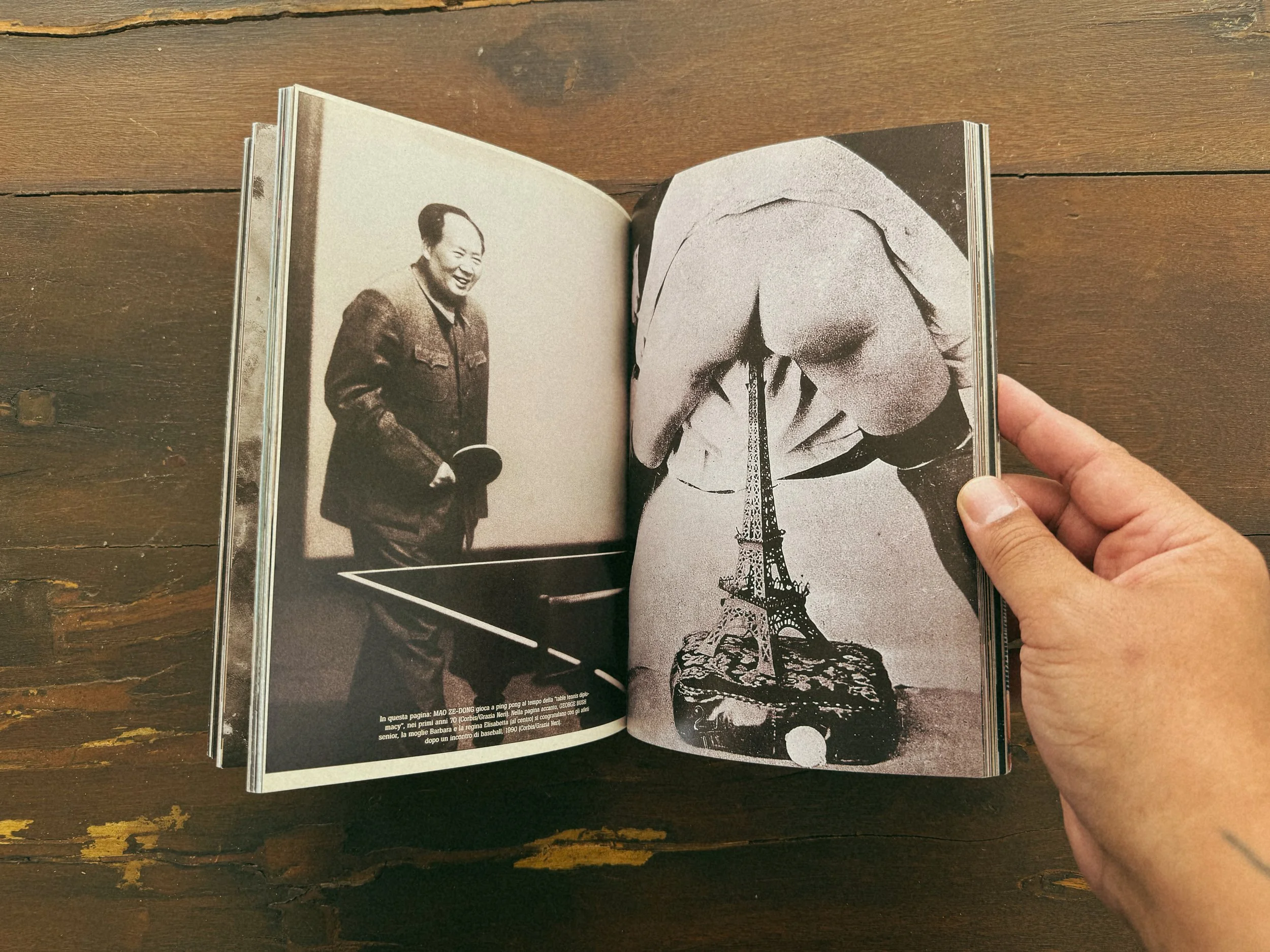 Tezza-4081.JPG