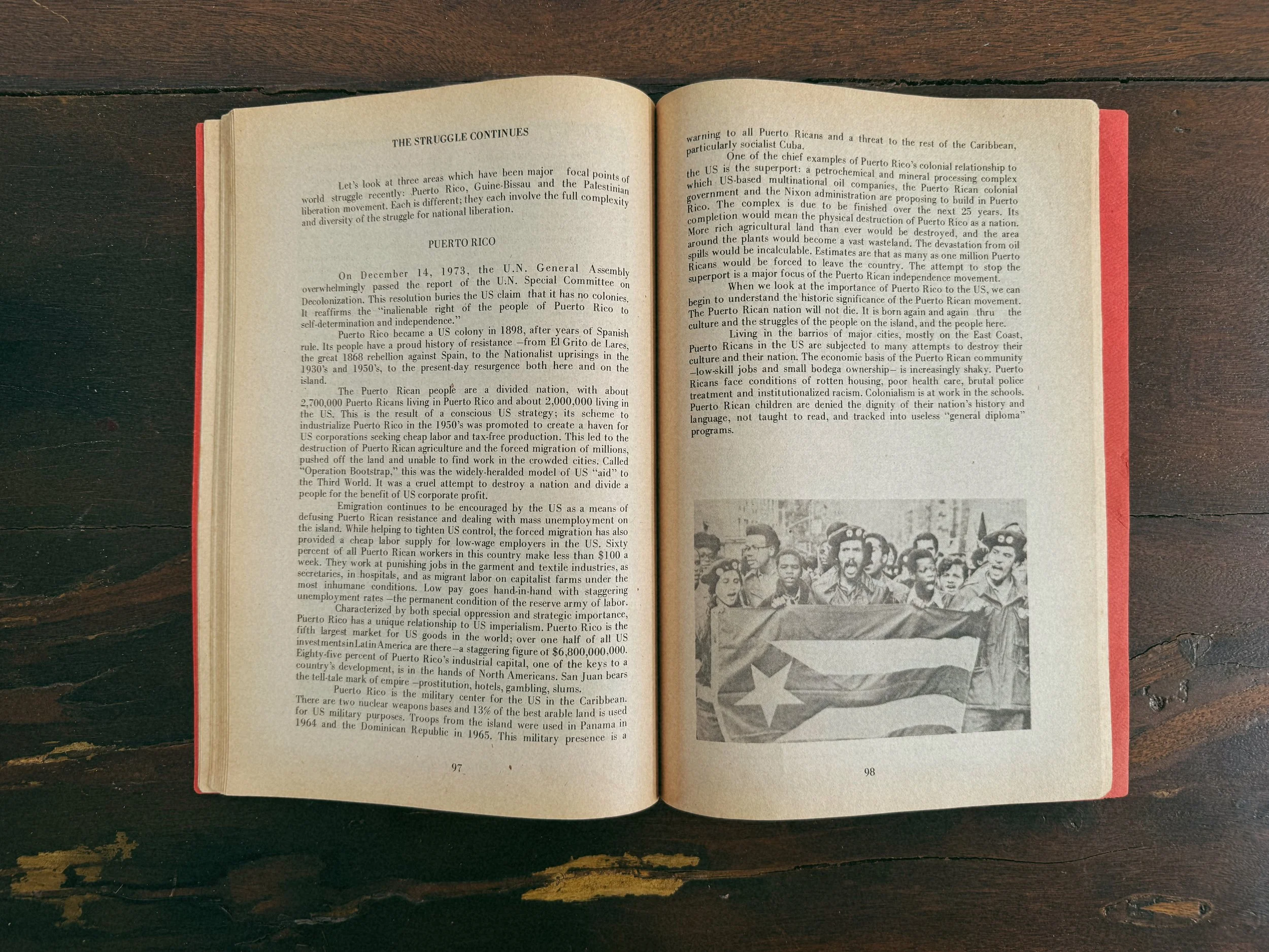 Tezza-2657.JPG