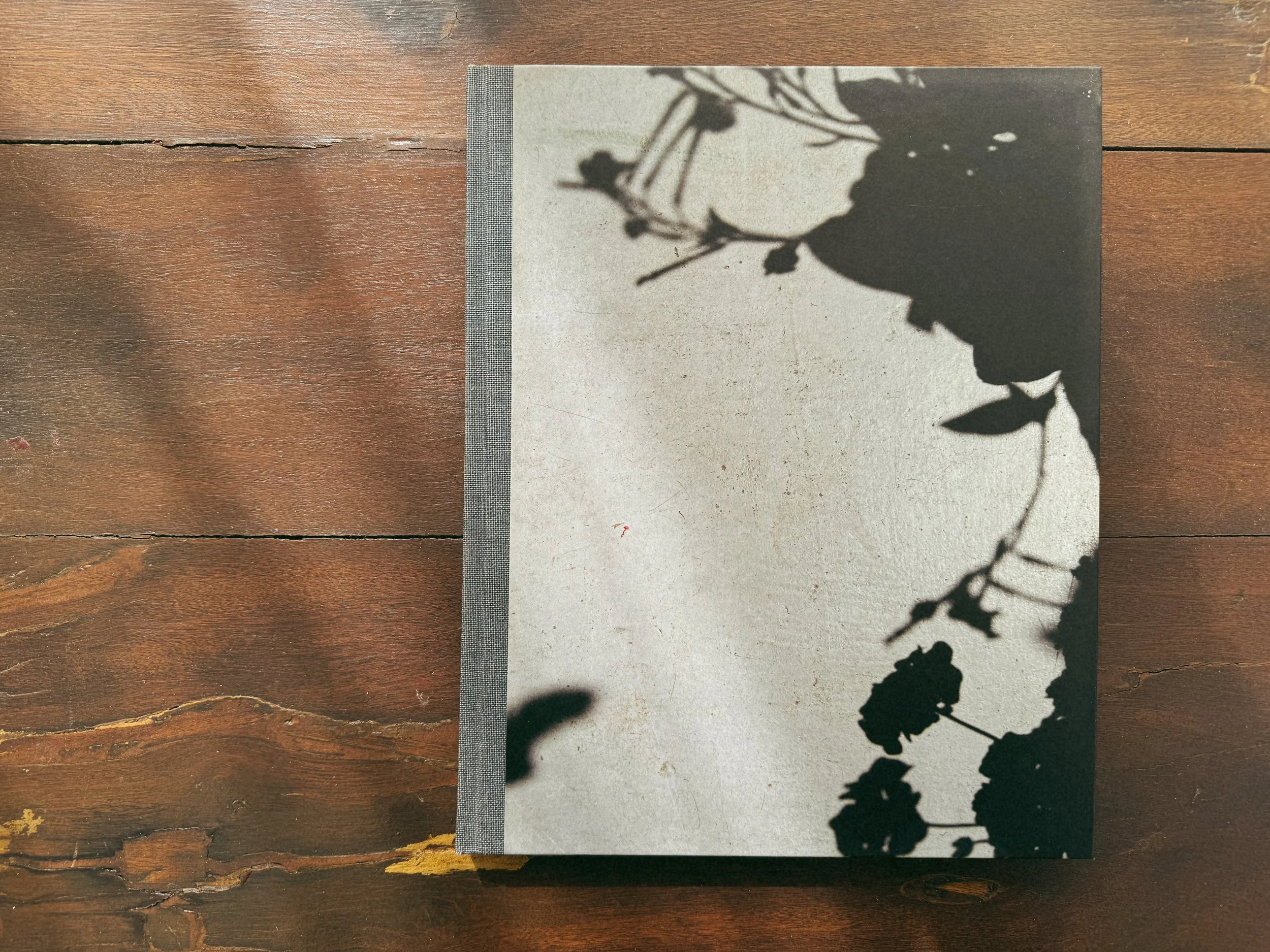 Tezza-5731.JPG
