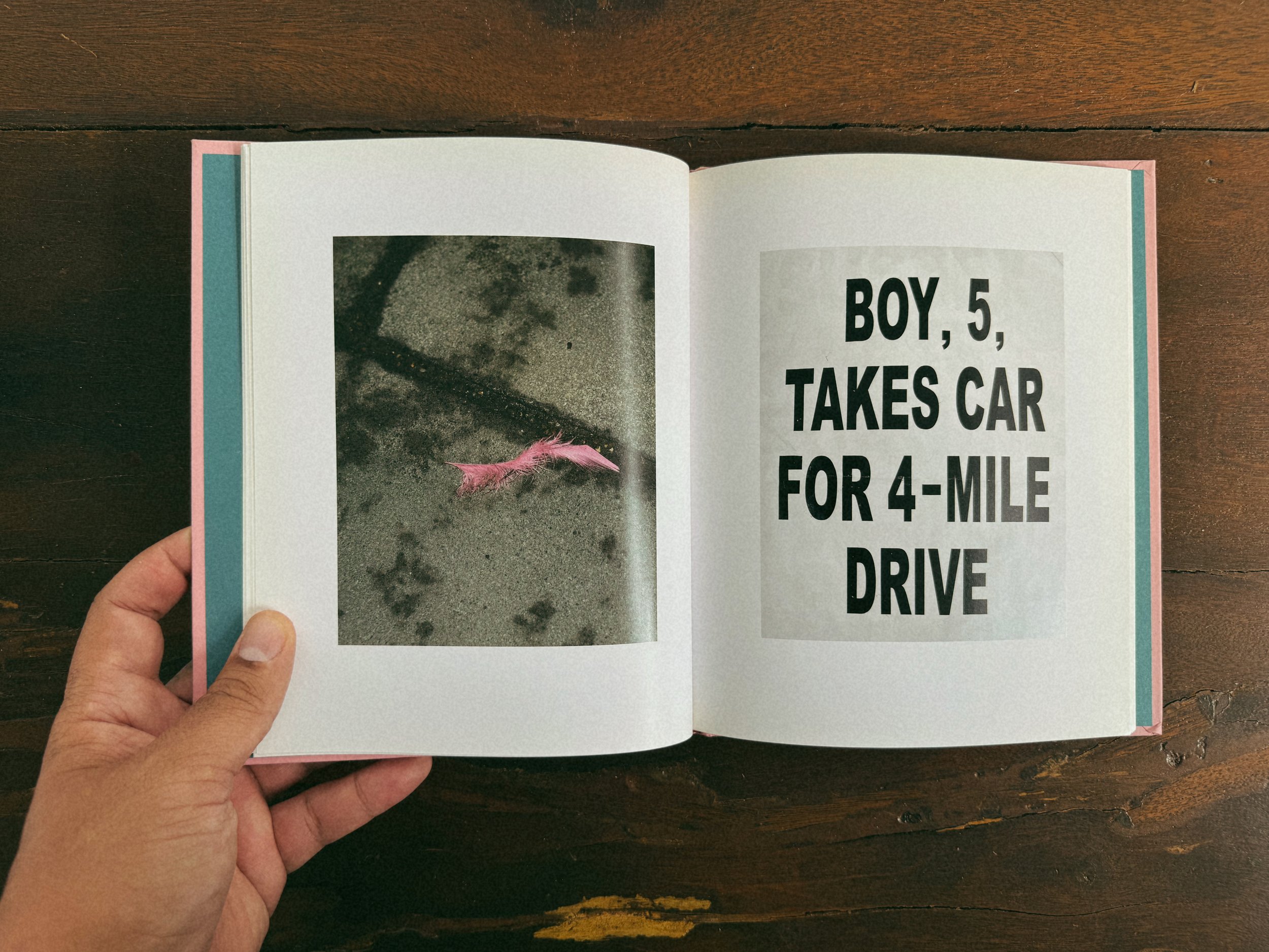 Brighton Picture Hunt by Carmen & Alec Soth