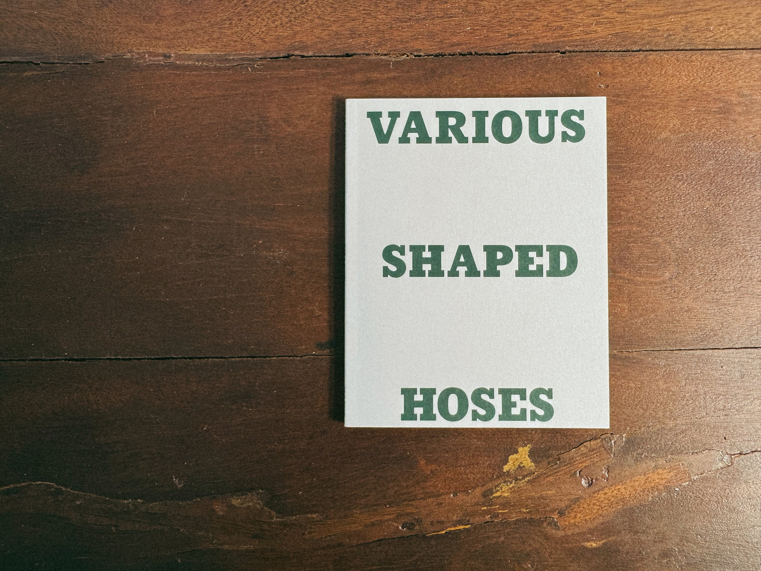 Various Shaped Hoses and Snake by Takashi Homma