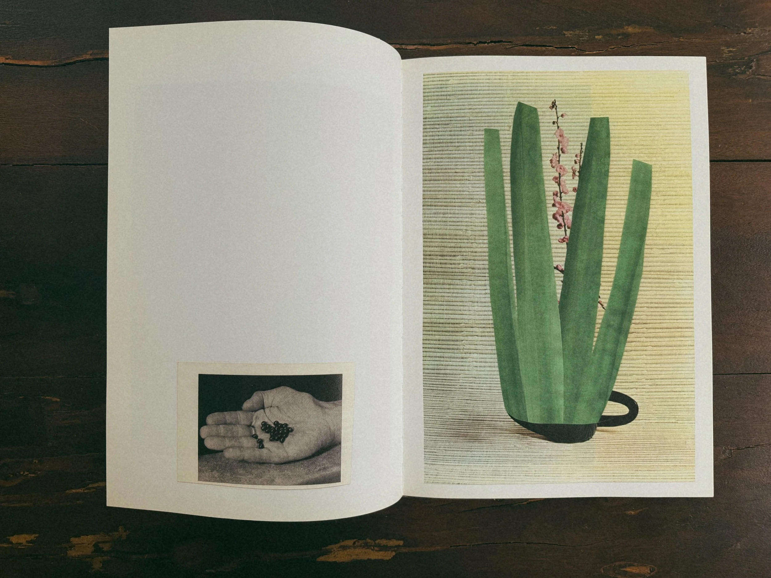 Tezza-8073.JPG