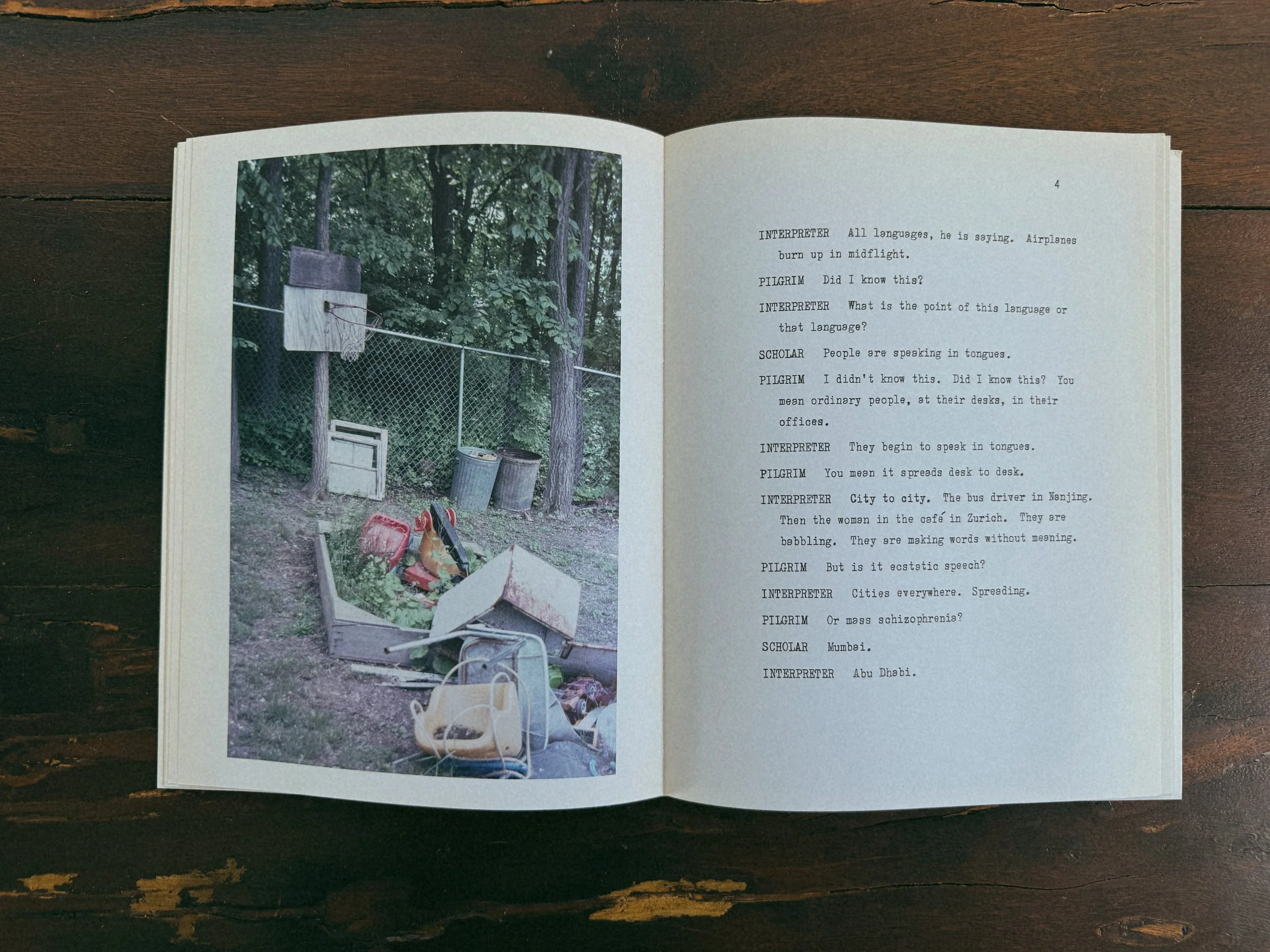 The Word for Snow by Don DeLillo & Richard Prince