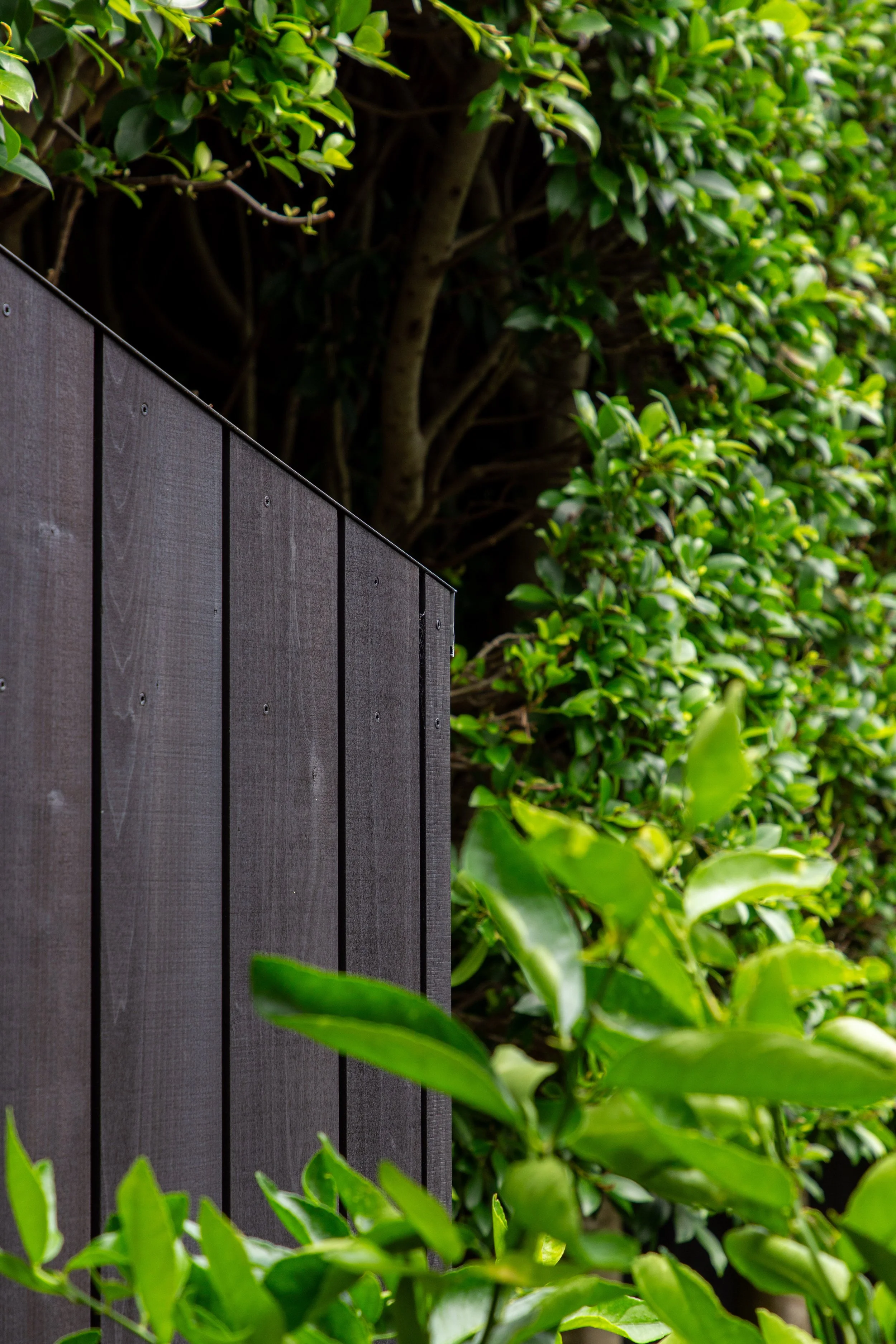 Bespoke garden sauna designed to blend naturally into surrounding landscape