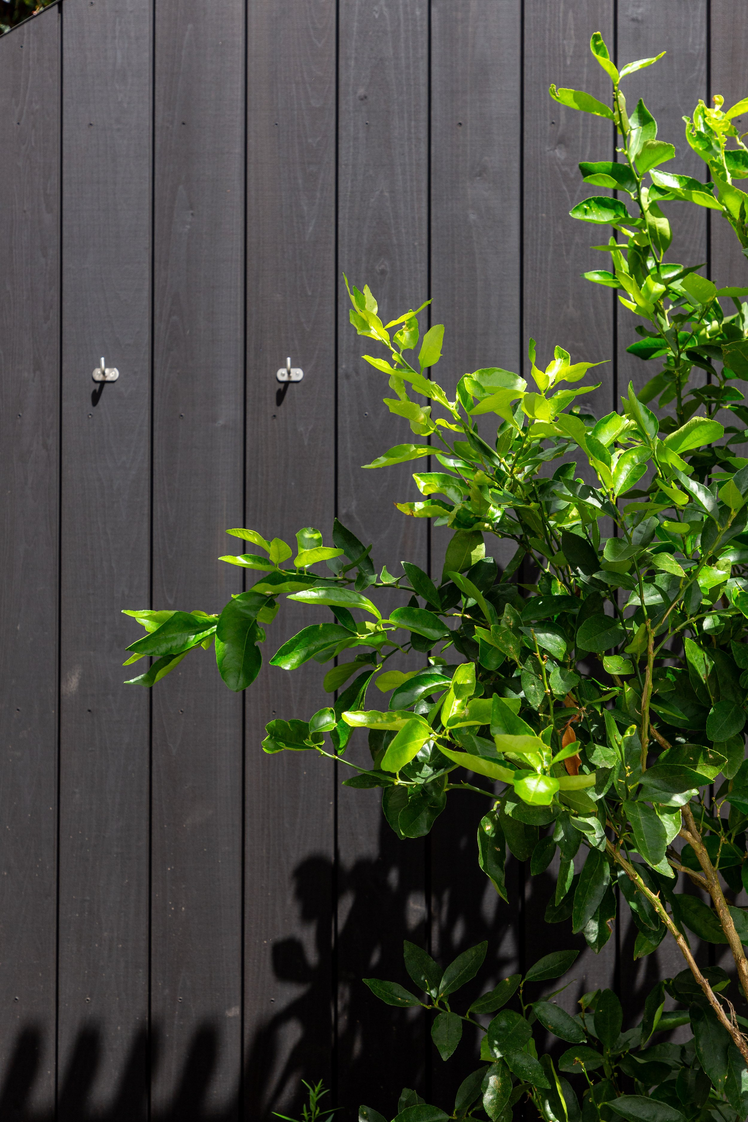Outdoor sauna featuring Abodo Nero timber cladding and handcrafted cedar interio