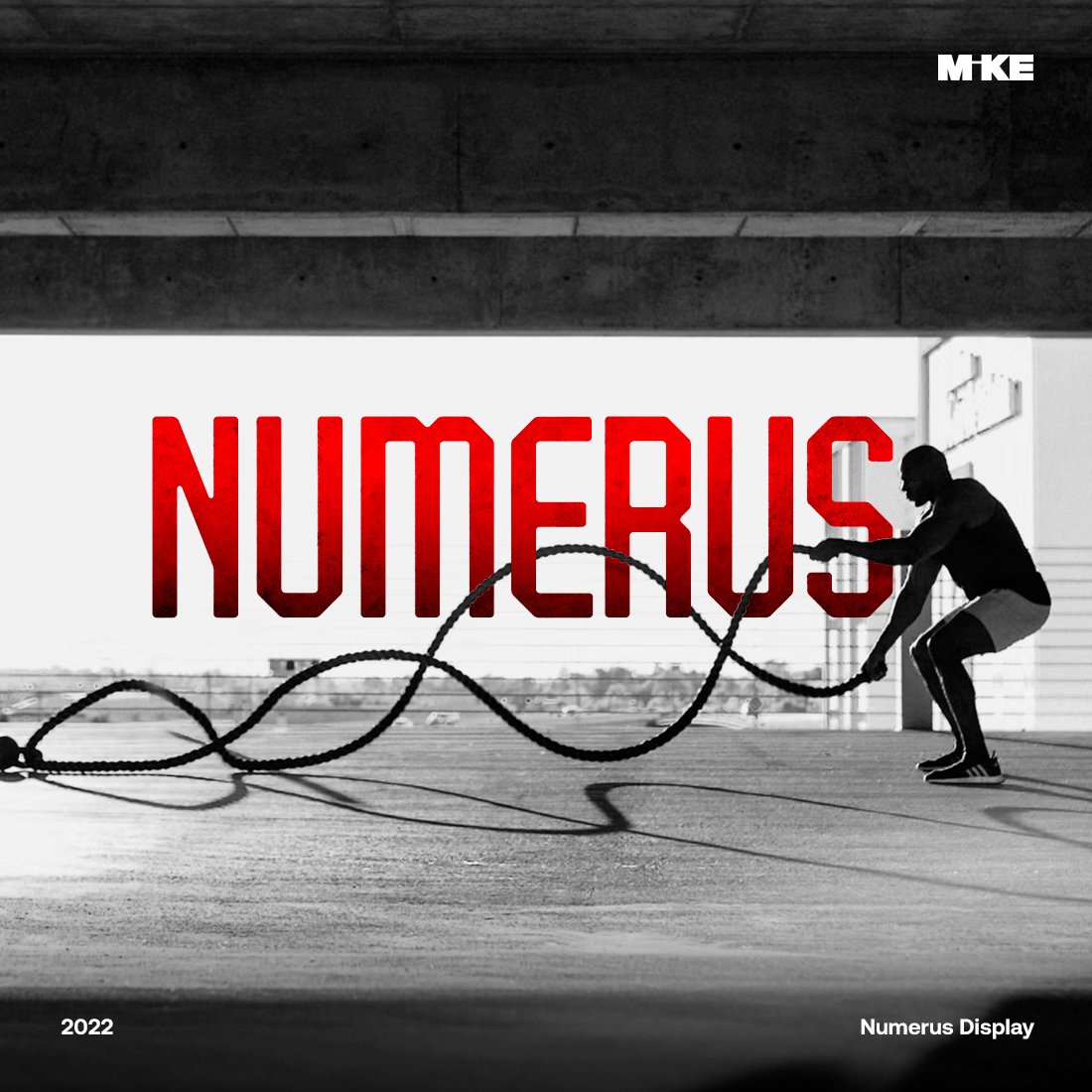 Numerus Display