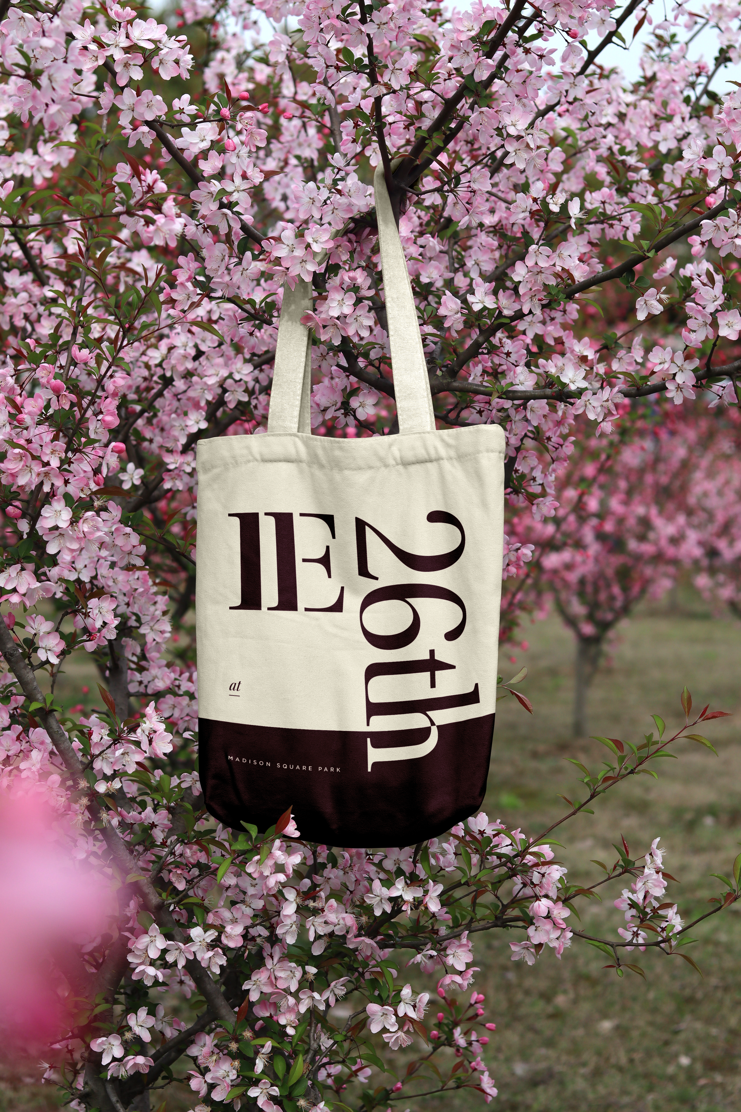 11E26_TOTE-2.png
