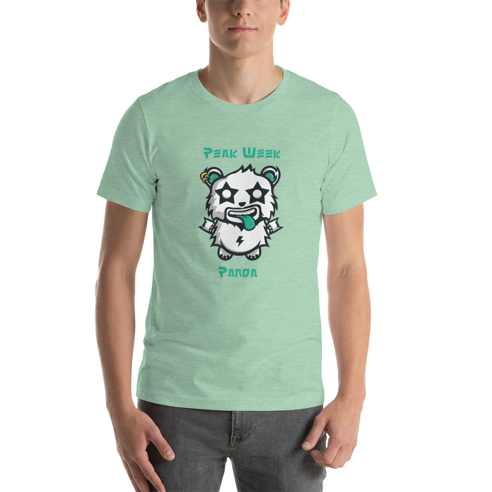 unisex-premium-t-shirt-heather-prism-mint-front-60c5413c975a8.jpg