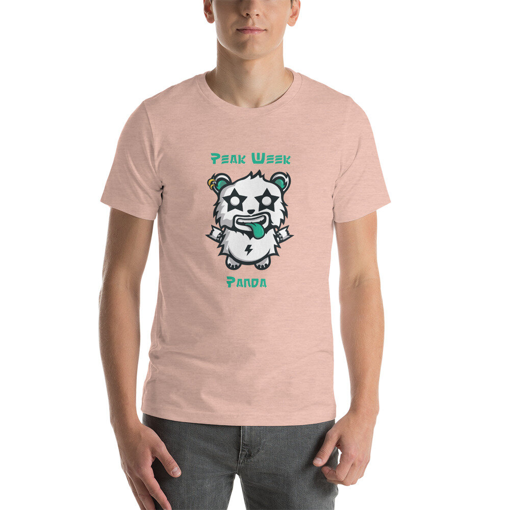 unisex-premium-t-shirt-heather-prism-peach-front-60c5413c98e83.jpg