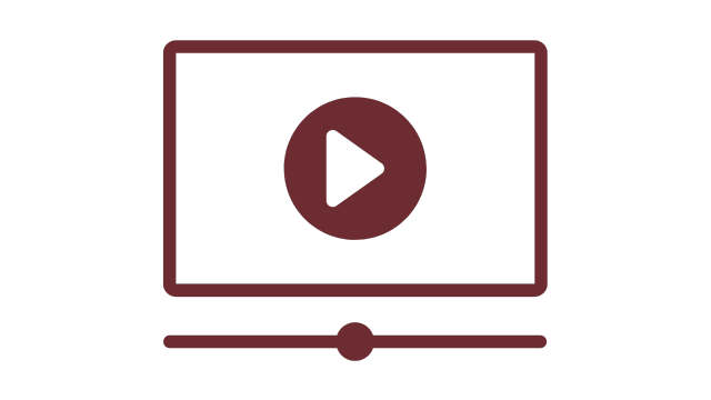 Icon of a video player with a play button, progress bar, and circular button.