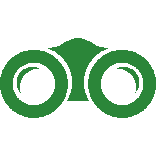 Scout AI - Insurance Recruiting