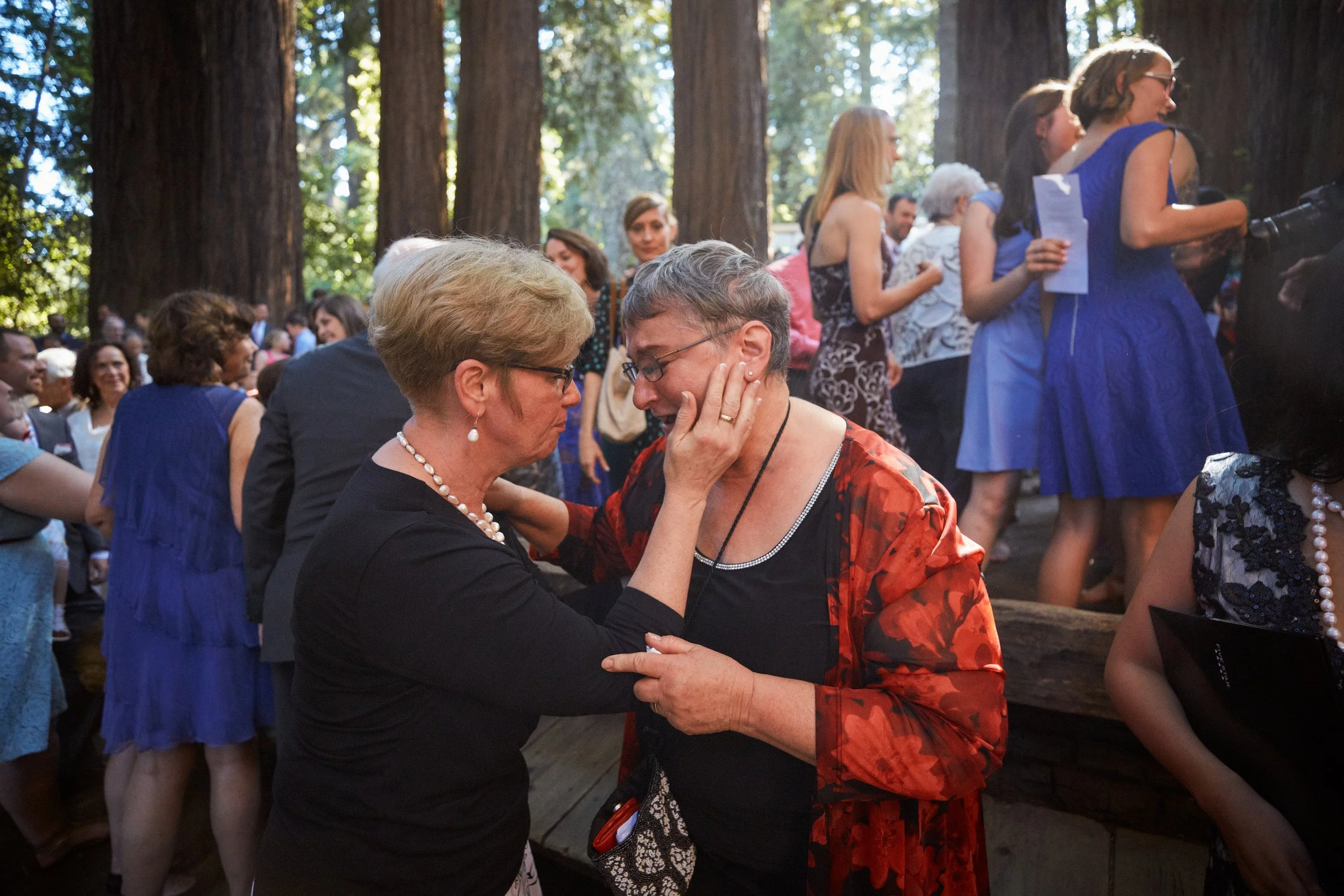 wedding-guests-crying-santa-cruz-forest-wedding