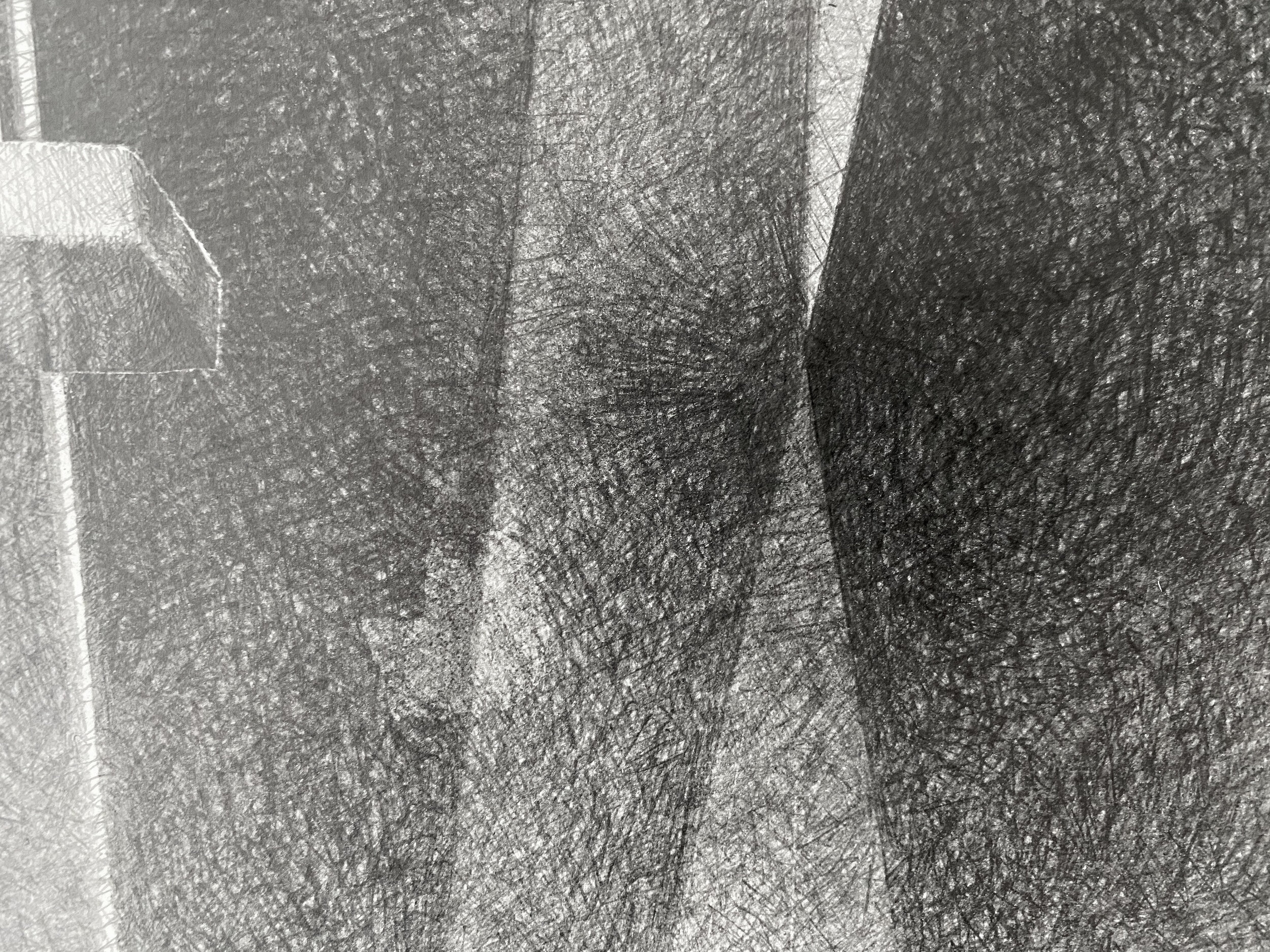 fine detail. 23.75 X 35 inches, Graphite on Paper. 2020