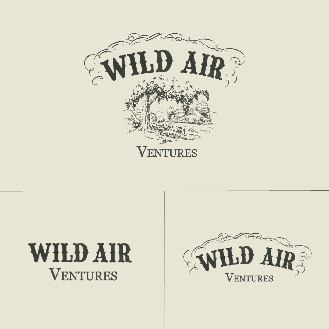 Wild+Air+Logo+Transparent+Background+(3).webp