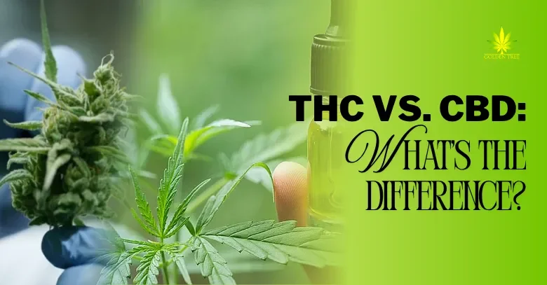 THC vs. CBD: What’s the Difference?