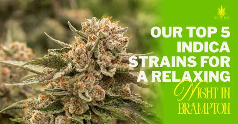 Our Top 5 Indica Strains for a Relaxing Night in Brampton