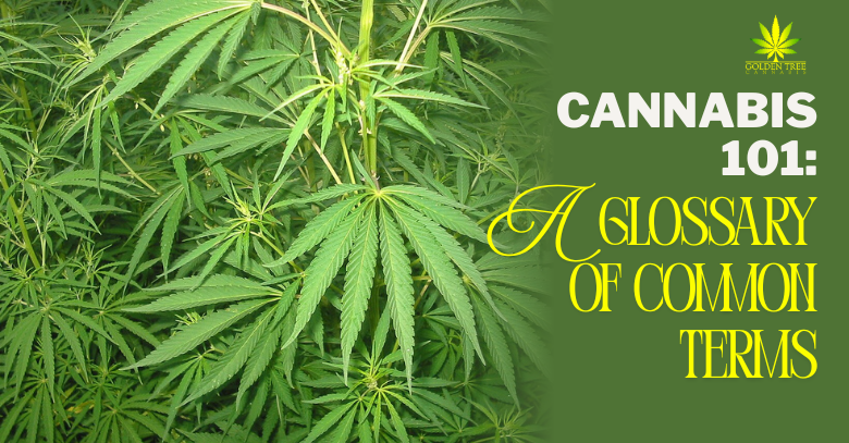 Cannabis 101: A Glossary of Common Terms