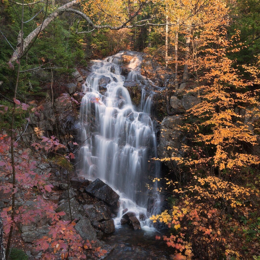 Flow
#nationalparkgeek #usnationalparks #pictureourparks #usnationalparks #acadianationalpark #acadianationalparkguide #acadianps #friendsofacadia #visitmaine #maine #bestwaterfalls #nature_waterfalls #waterfallsfordays #waterfalls_collective #wonder