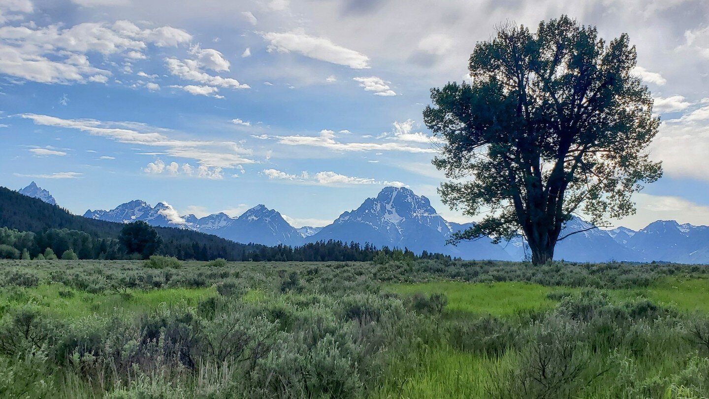 Mount Moran while walking along the Snake after an evening rain.